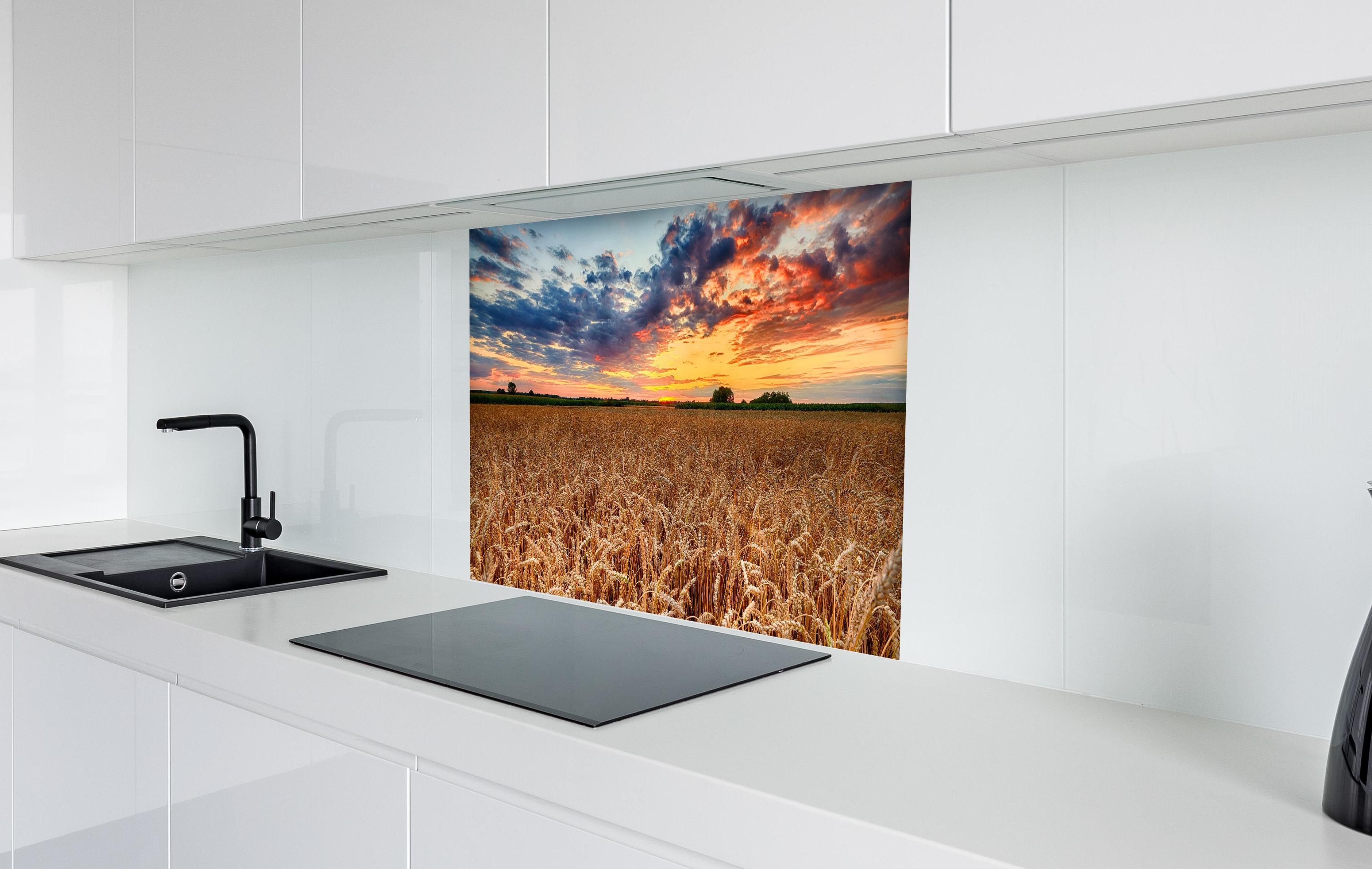Spritzschutz - Sommer-Sonnenaufgang über Weizenfeldern in der Ukraine in weißer Hochglanz-Küche hinter einem Cerankochfeld