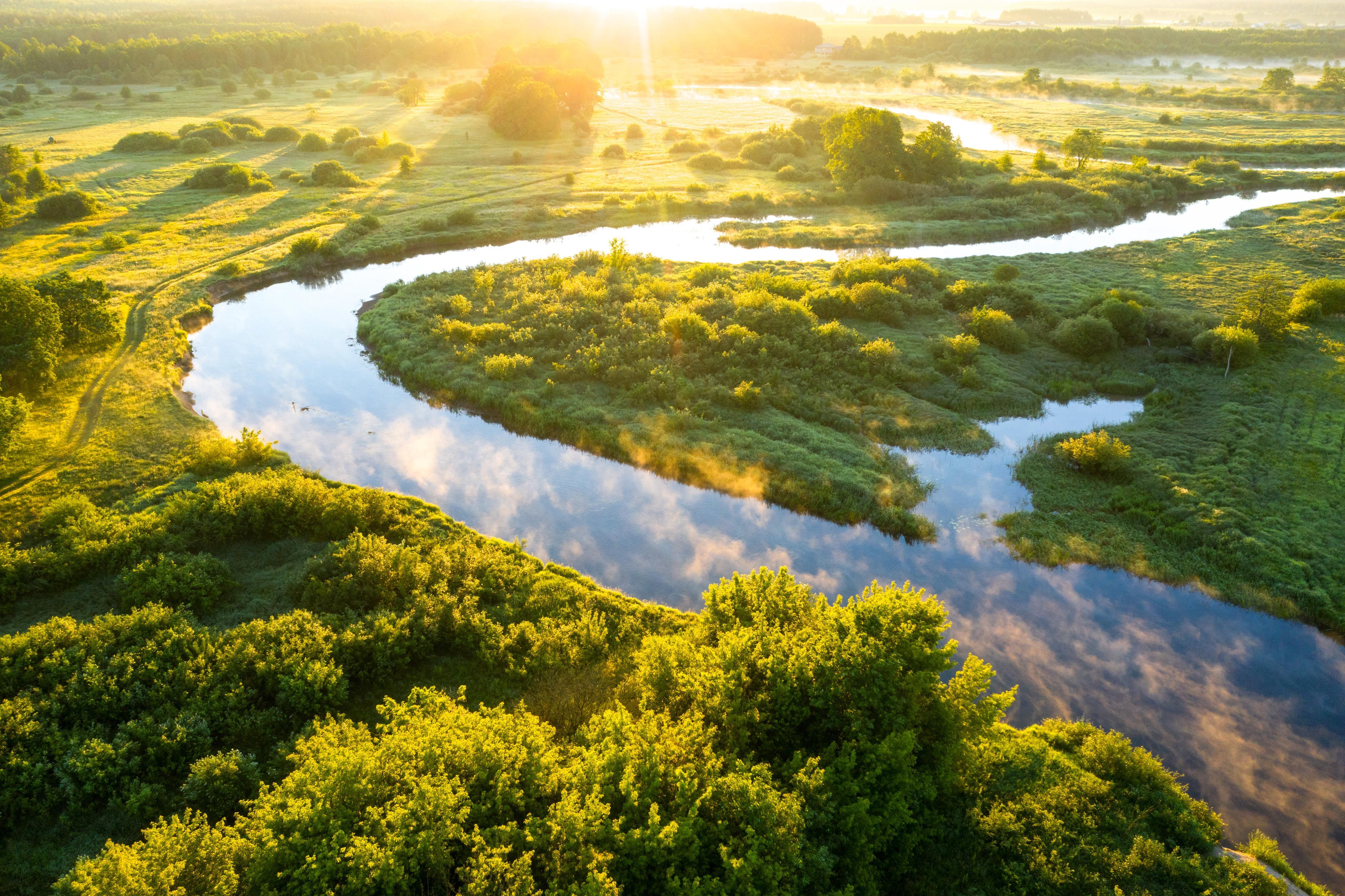 Spritzschutz-Sommermorgen am Fluss im Arizona