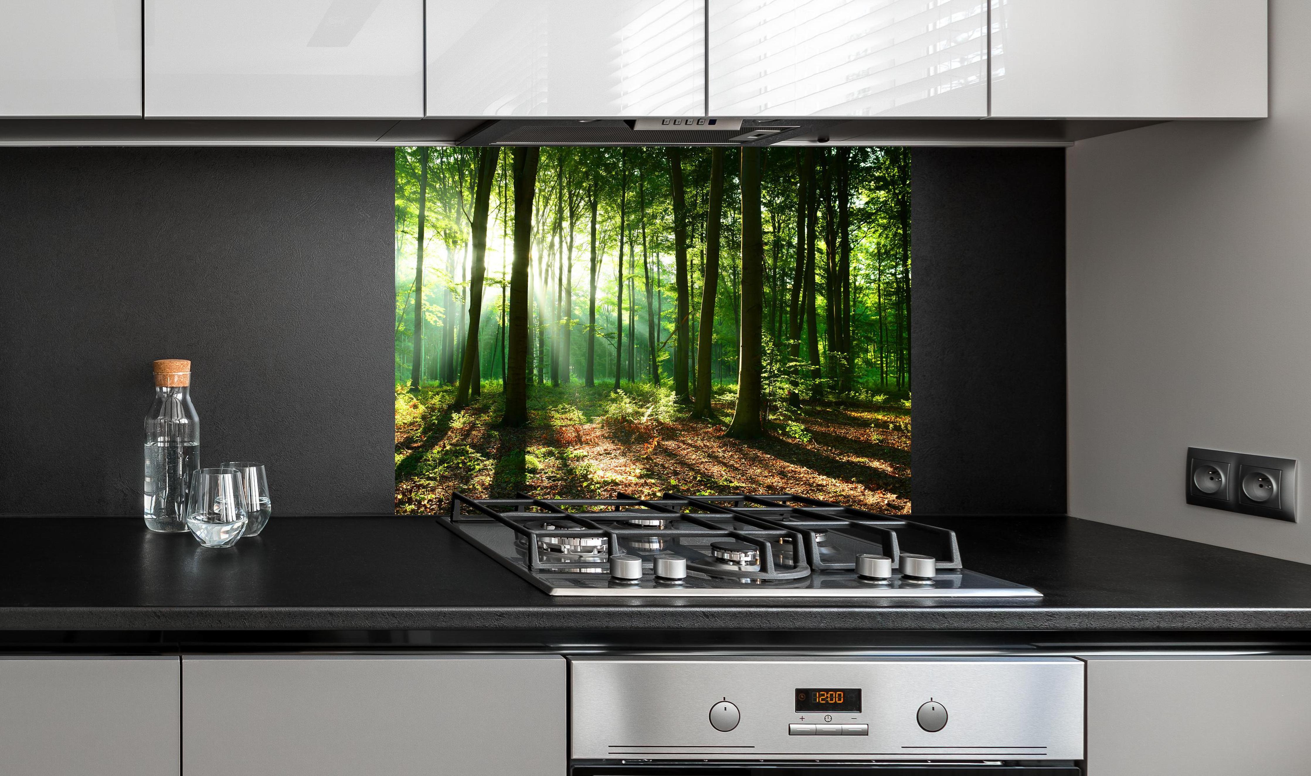 Spritzschutz - Sonnenaufgang im Bayrischem Wald an edler Anthrazit-Wand hinter silbernem Gasherd