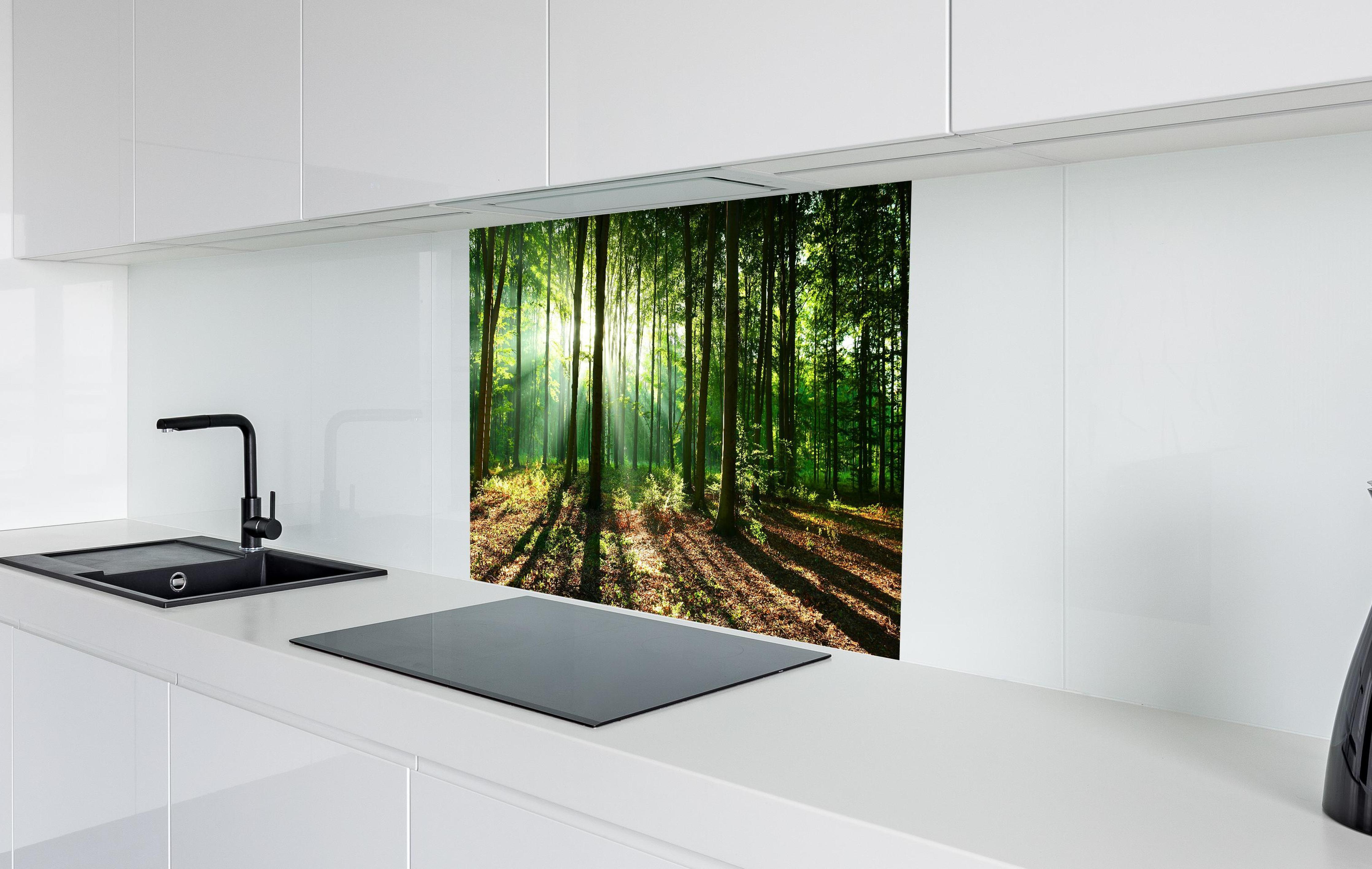Spritzschutz - Sonnenaufgang im Bayrischem Wald in weißer Hochglanz-Küche hinter einem Cerankochfeld