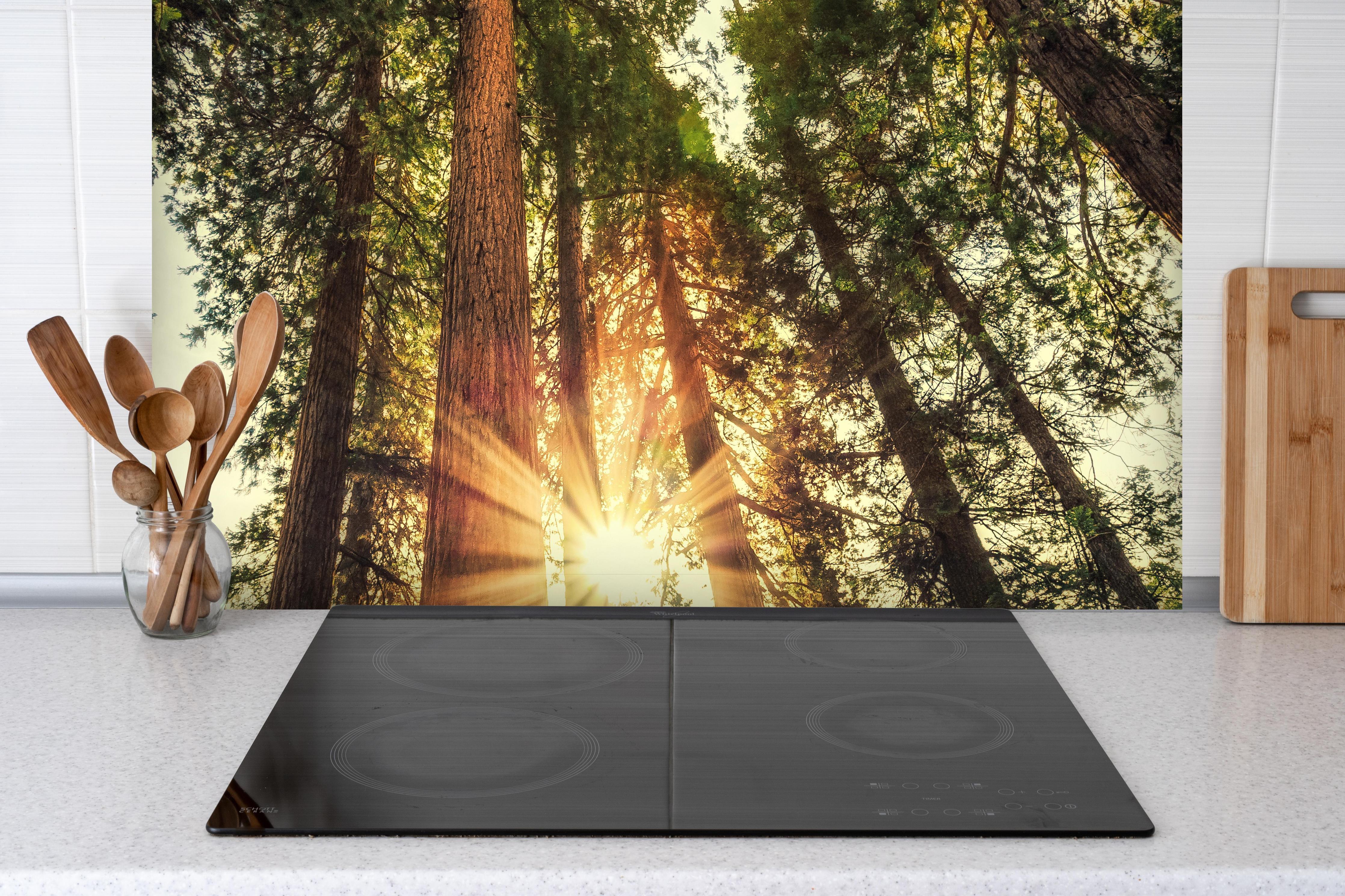 Spritzschutz - Sonnenaufgang über Mammutbäumen hinter einem Cerankochfeld zwischen Holz-Kochutensilien