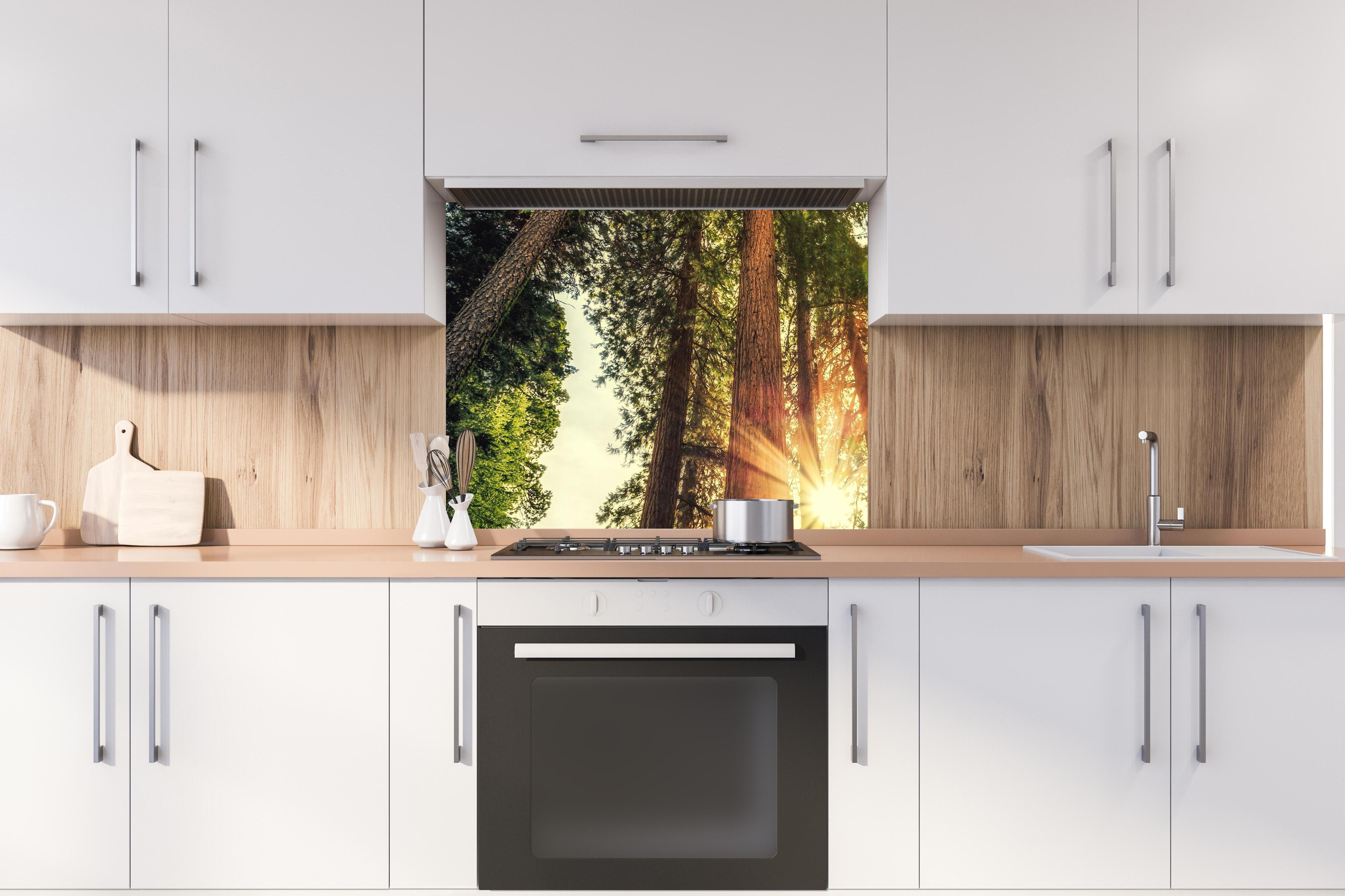 Spritzschutz - Sonnenaufgang über Mammutbäumen hinter stilvollem Gasherd unter Dunstabzugshaube