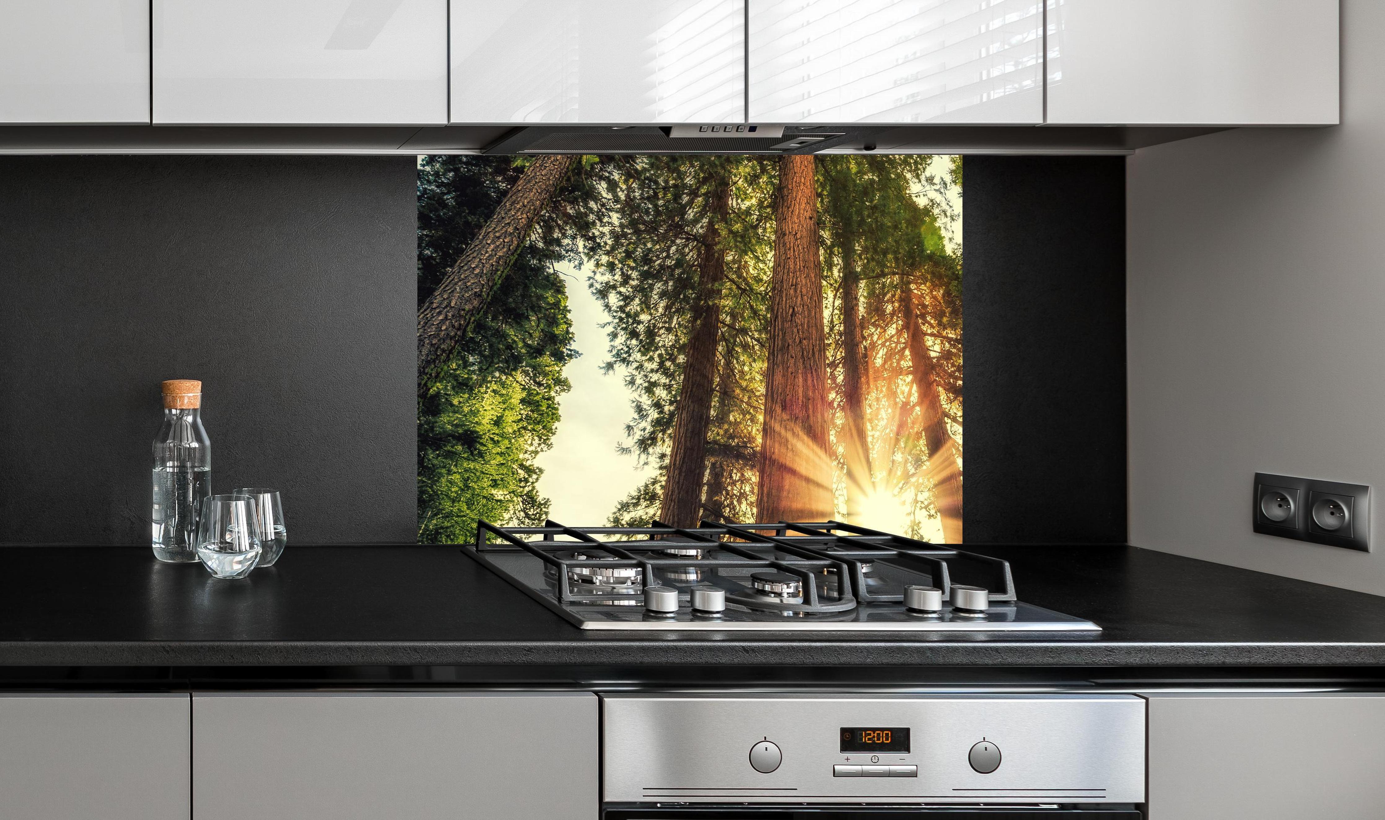 Spritzschutz - Sonnenaufgang über Mammutbäumen an edler Anthrazit-Wand hinter silbernem Gasherd