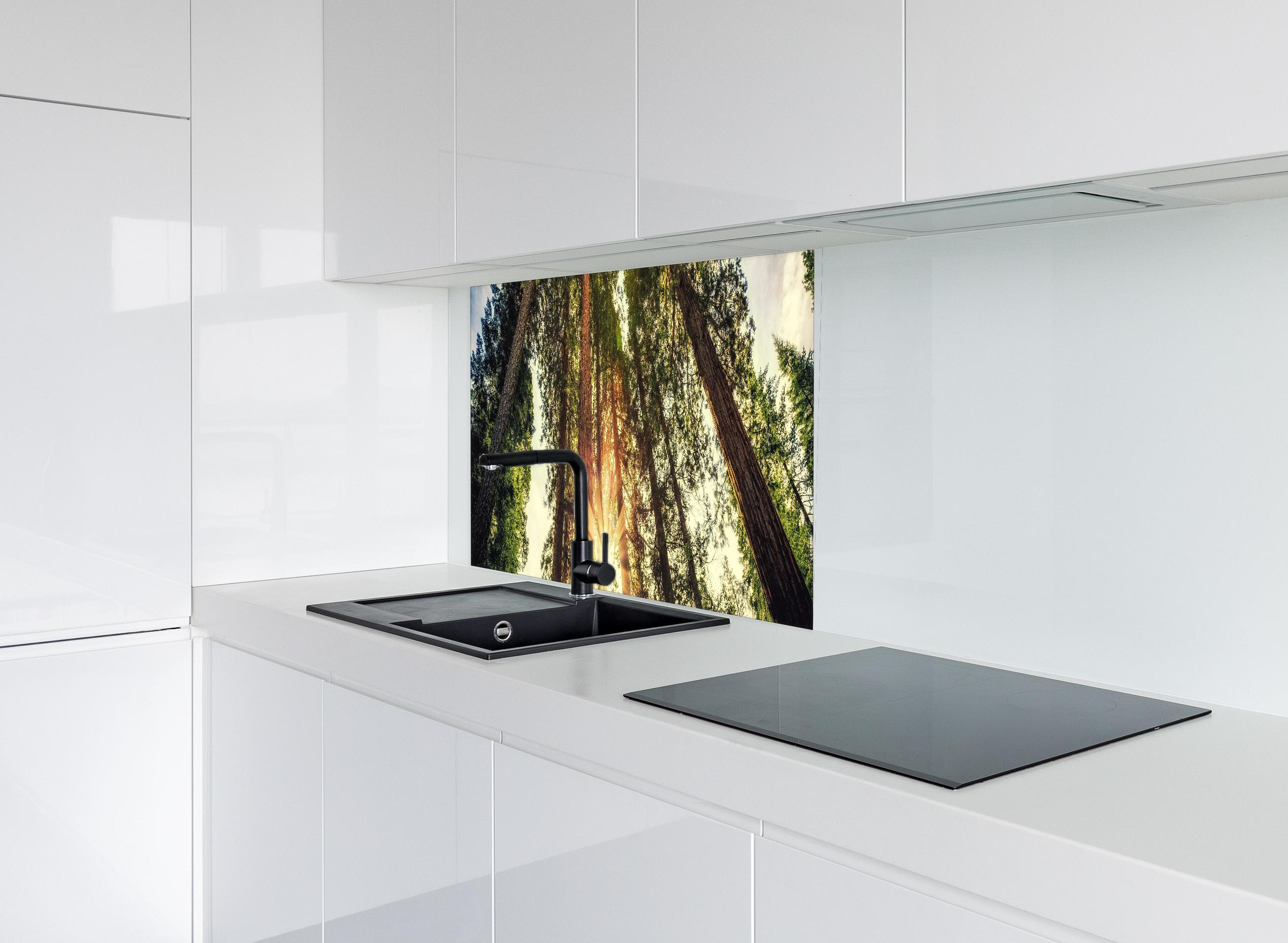 Spritzschutz - Sonnenaufgang über Mammutbäumen hinter modernem schwarz-matten Spülbecken in weißer Hochglanz-Küche