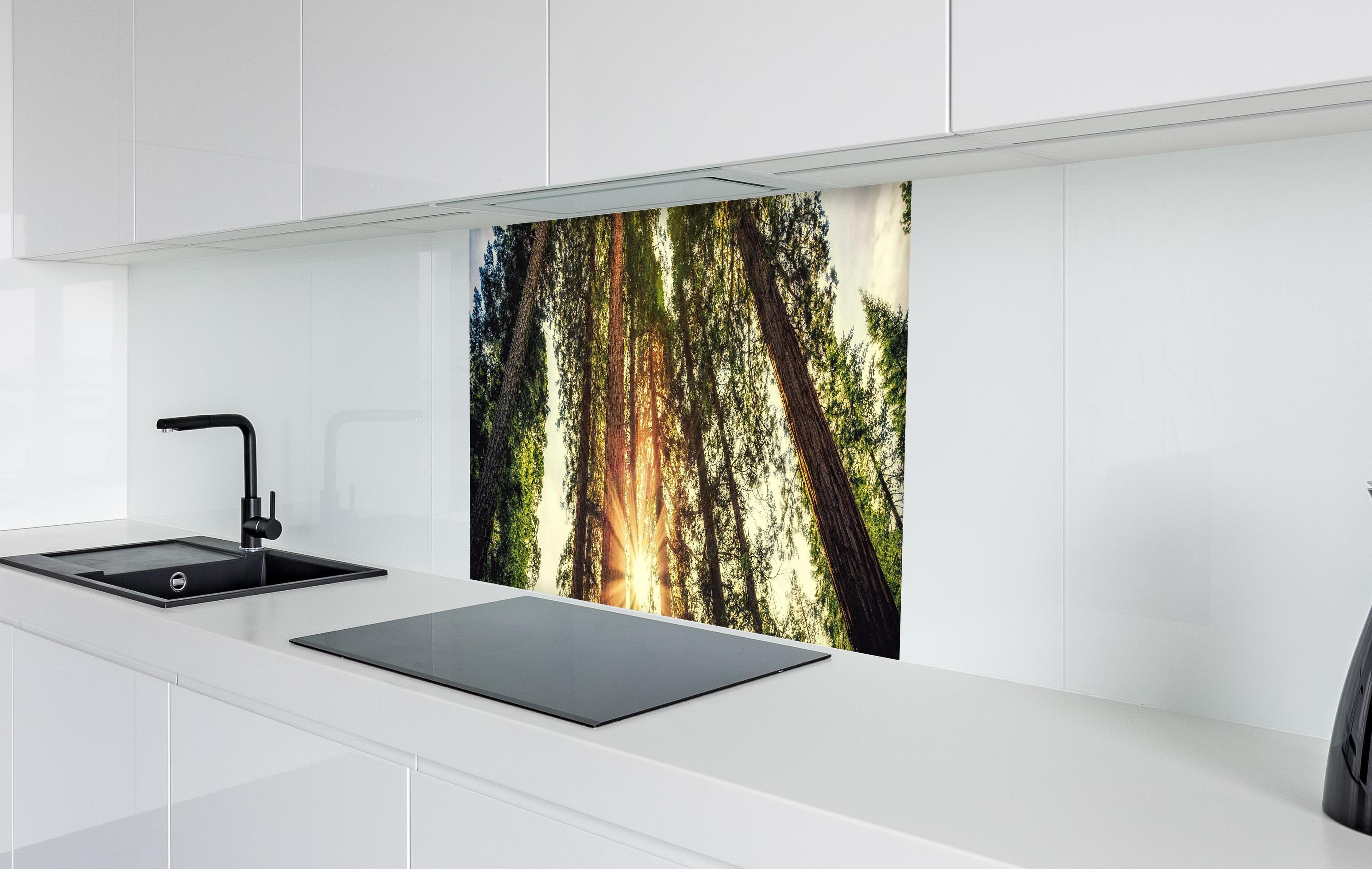 Spritzschutz - Sonnenaufgang über Mammutbäumen in weißer Hochglanz-Küche hinter einem Cerankochfeld