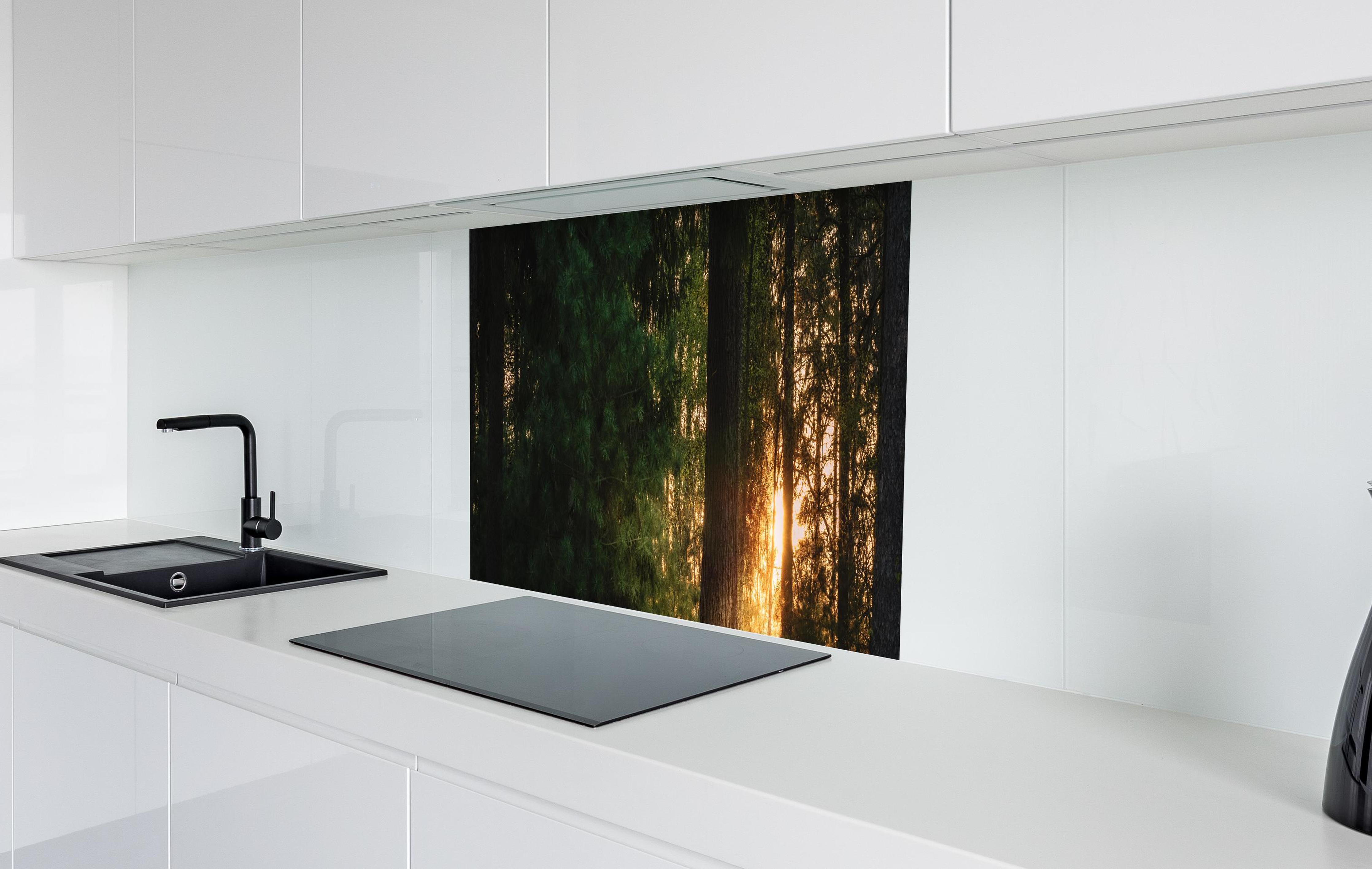 Spritzschutz - Sonnenuntergang im Wald - Lüneburger Heide in weißer Hochglanz-Küche hinter einem Cerankochfeld