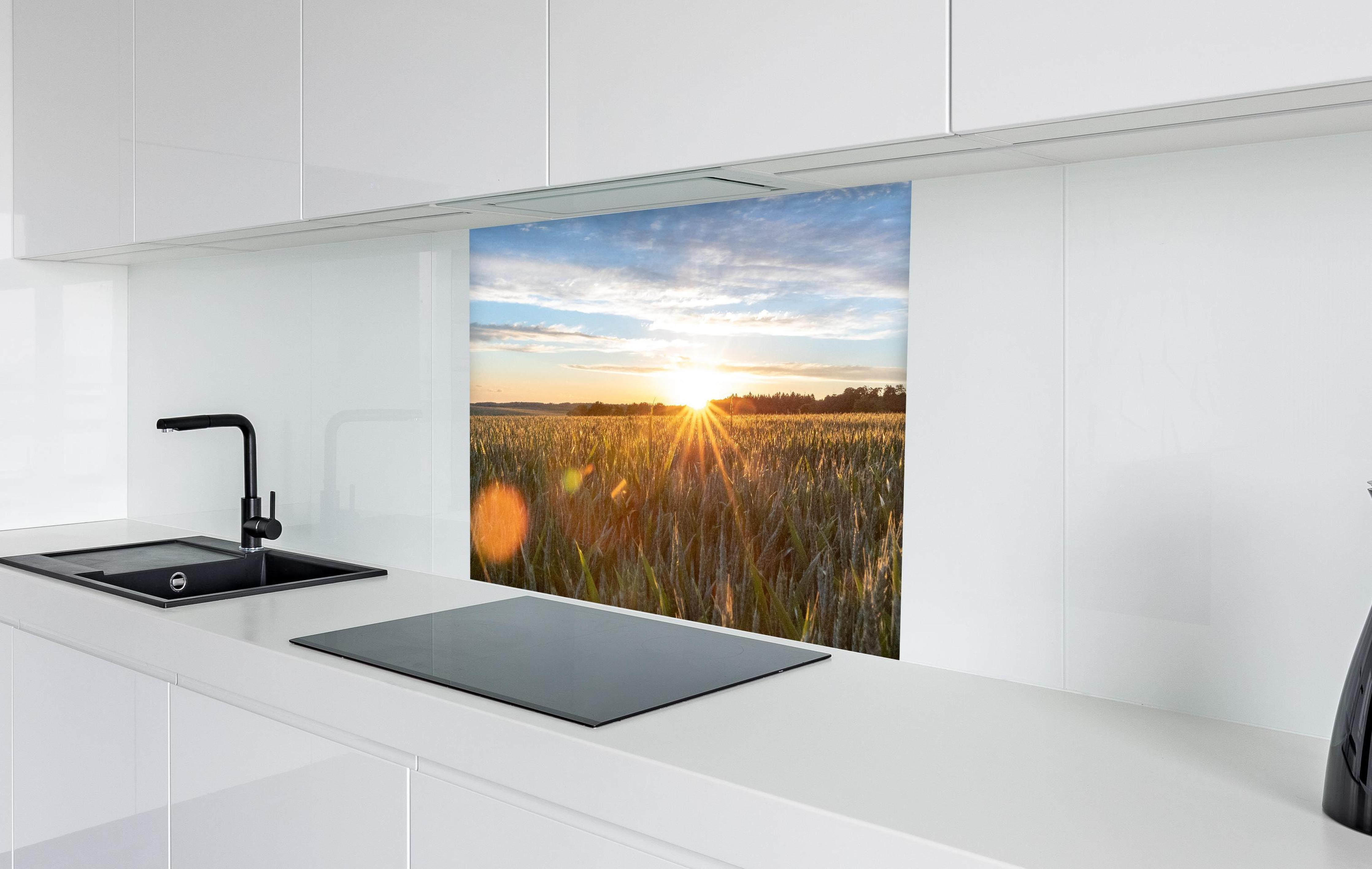Spritzschutz - Sonnenuntergang über einem Kornfeld in weißer Hochglanz-Küche hinter einem Cerankochfeld