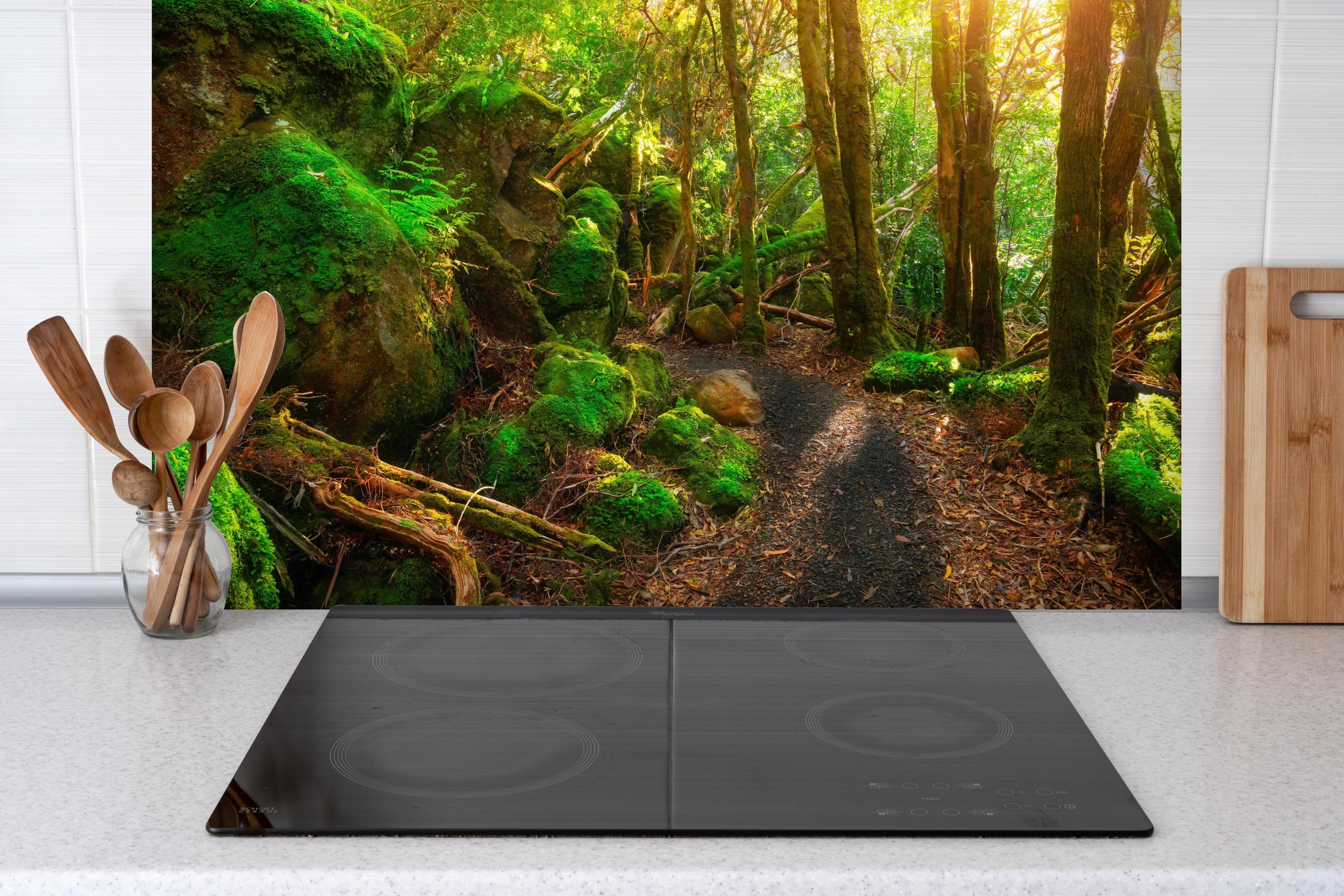 Spritzschutz - Sonniger Wald in Tasmanien hinter einem Cerankochfeld zwischen Holz-Kochutensilien