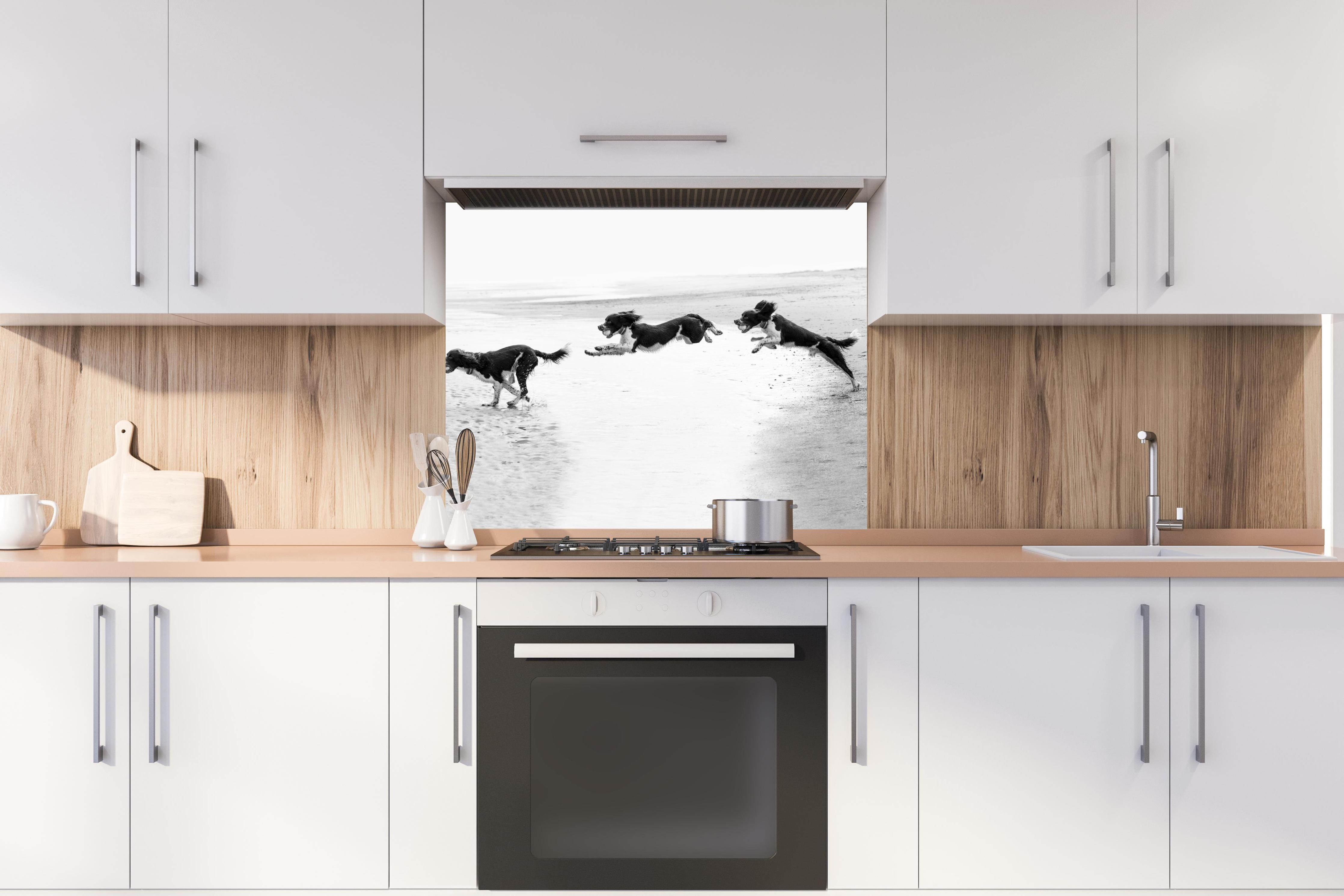 Spritzschutz - Springer Spaniel beim springen hinter stilvollem Gasherd unter Dunstabzugshaube