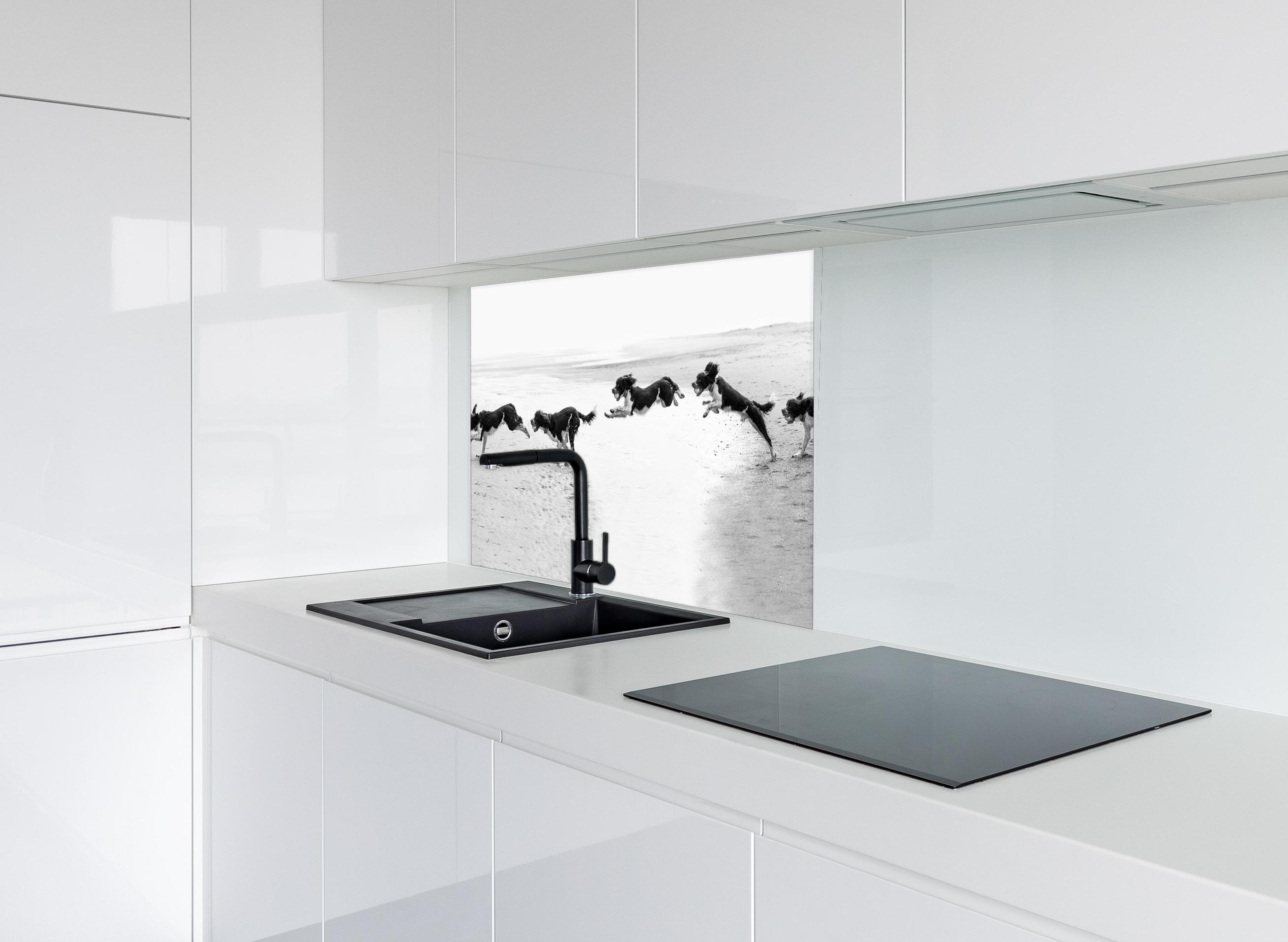 Spritzschutz - Springer Spaniel beim springen hinter modernem schwarz-matten Spülbecken in weißer Hochglanz-Küche