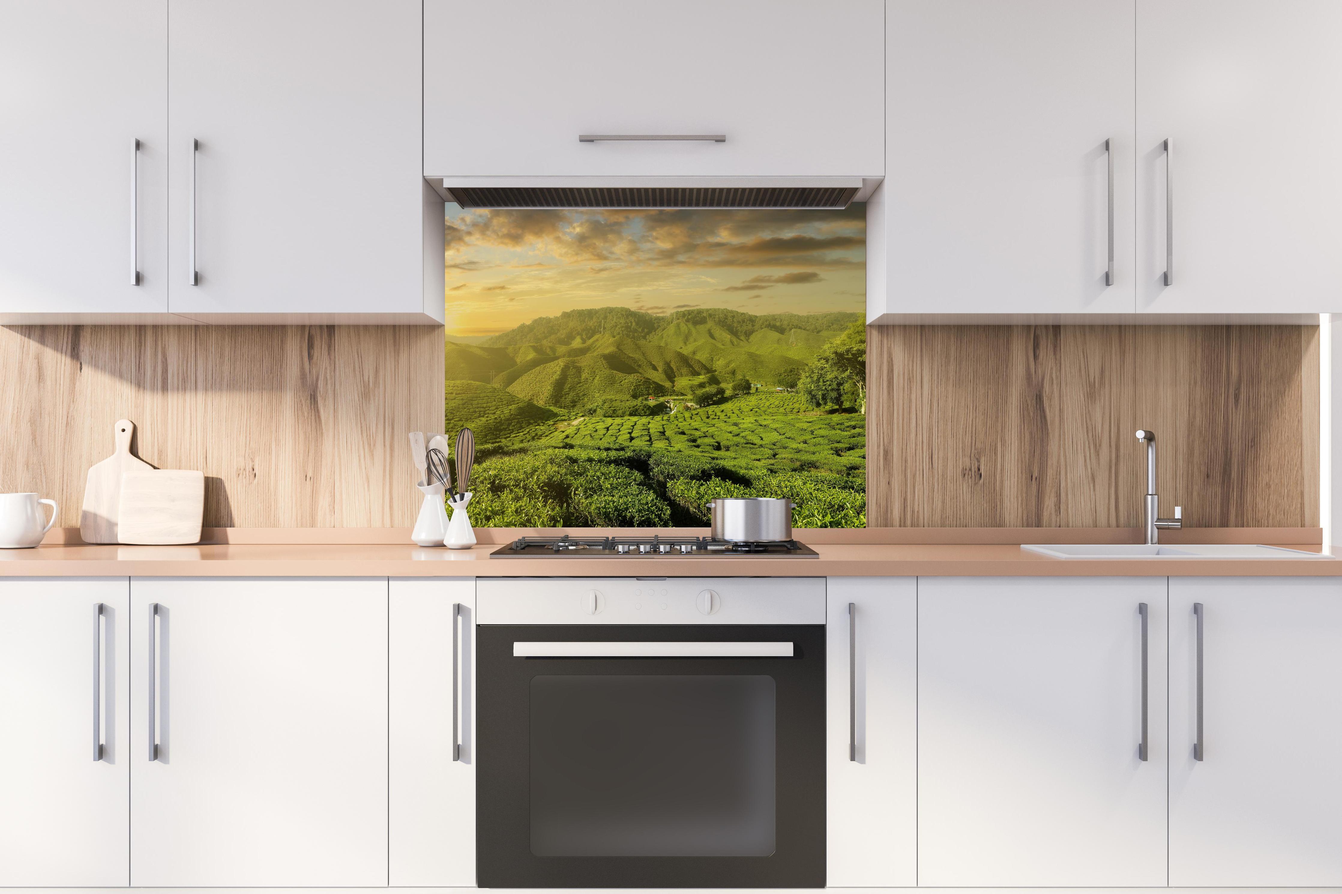 Spritzschutz - Teeplantage in Malaysia hinter stilvollem Gasherd unter Dunstabzugshaube