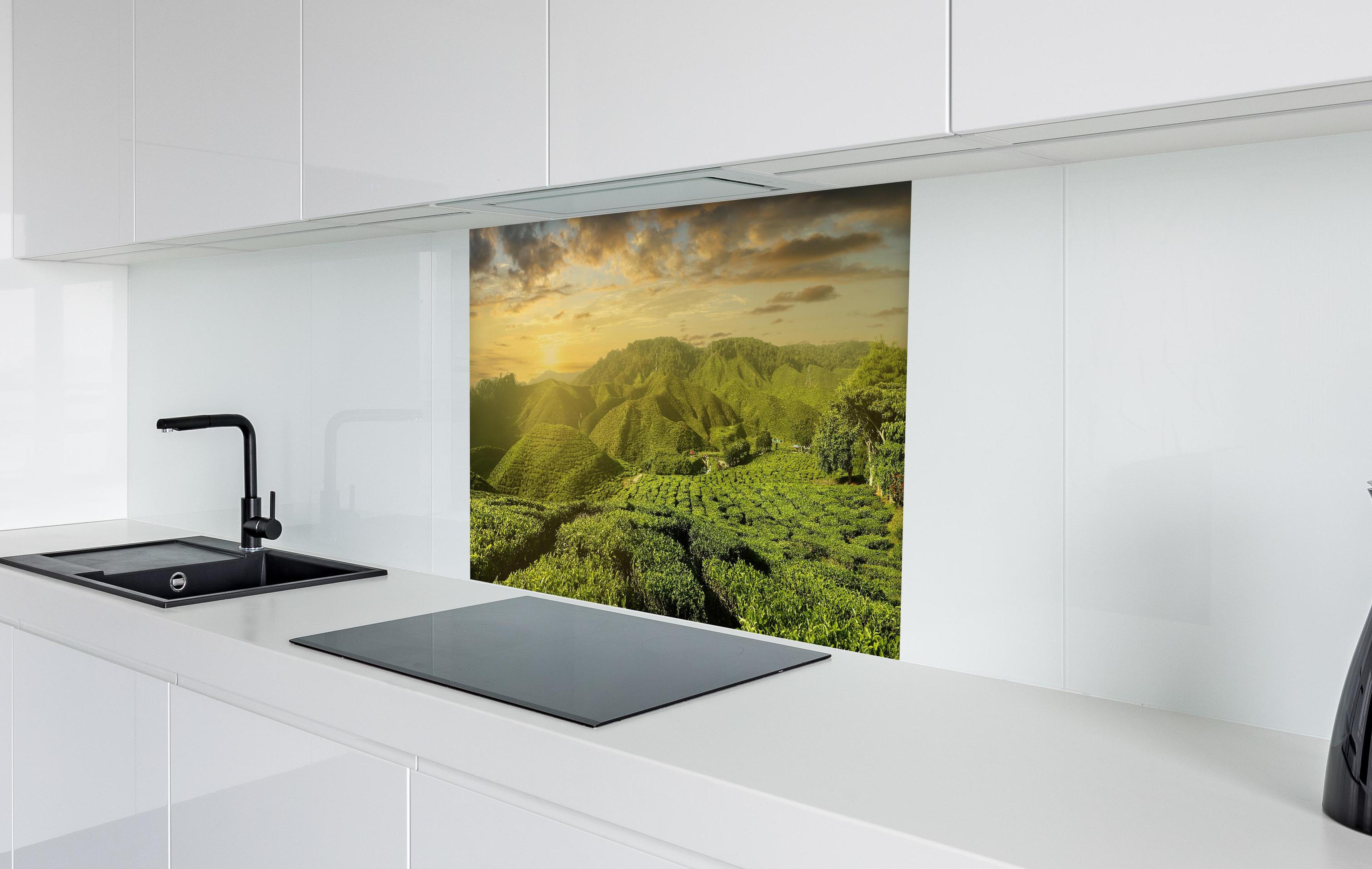 Spritzschutz - Teeplantage in Malaysia in weißer Hochglanz-Küche hinter einem Cerankochfeld