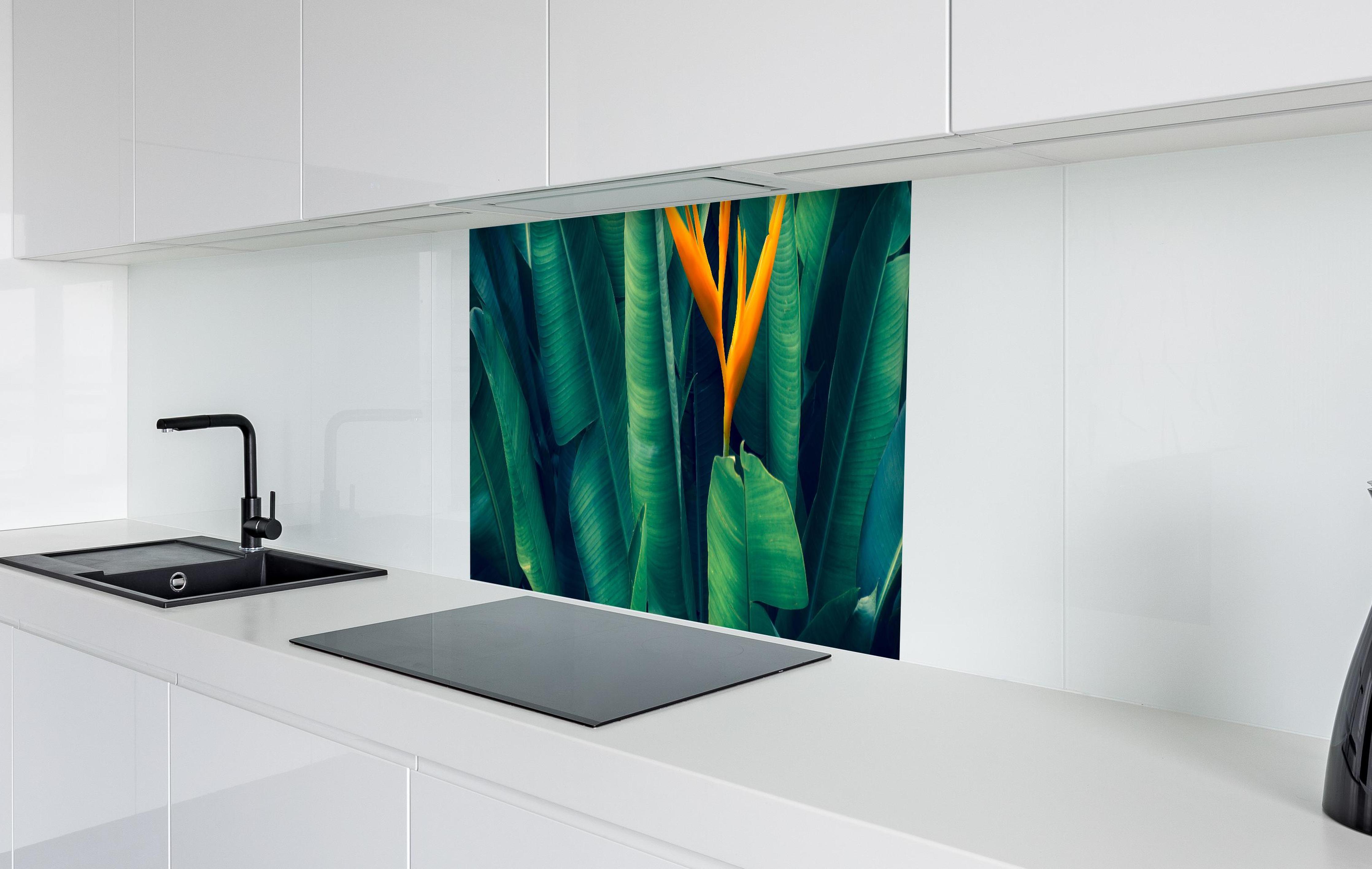 Spritzschutz - Tropische Blätter mit orangefarbiger Blume in weißer Hochglanz-Küche hinter einem Cerankochfeld
