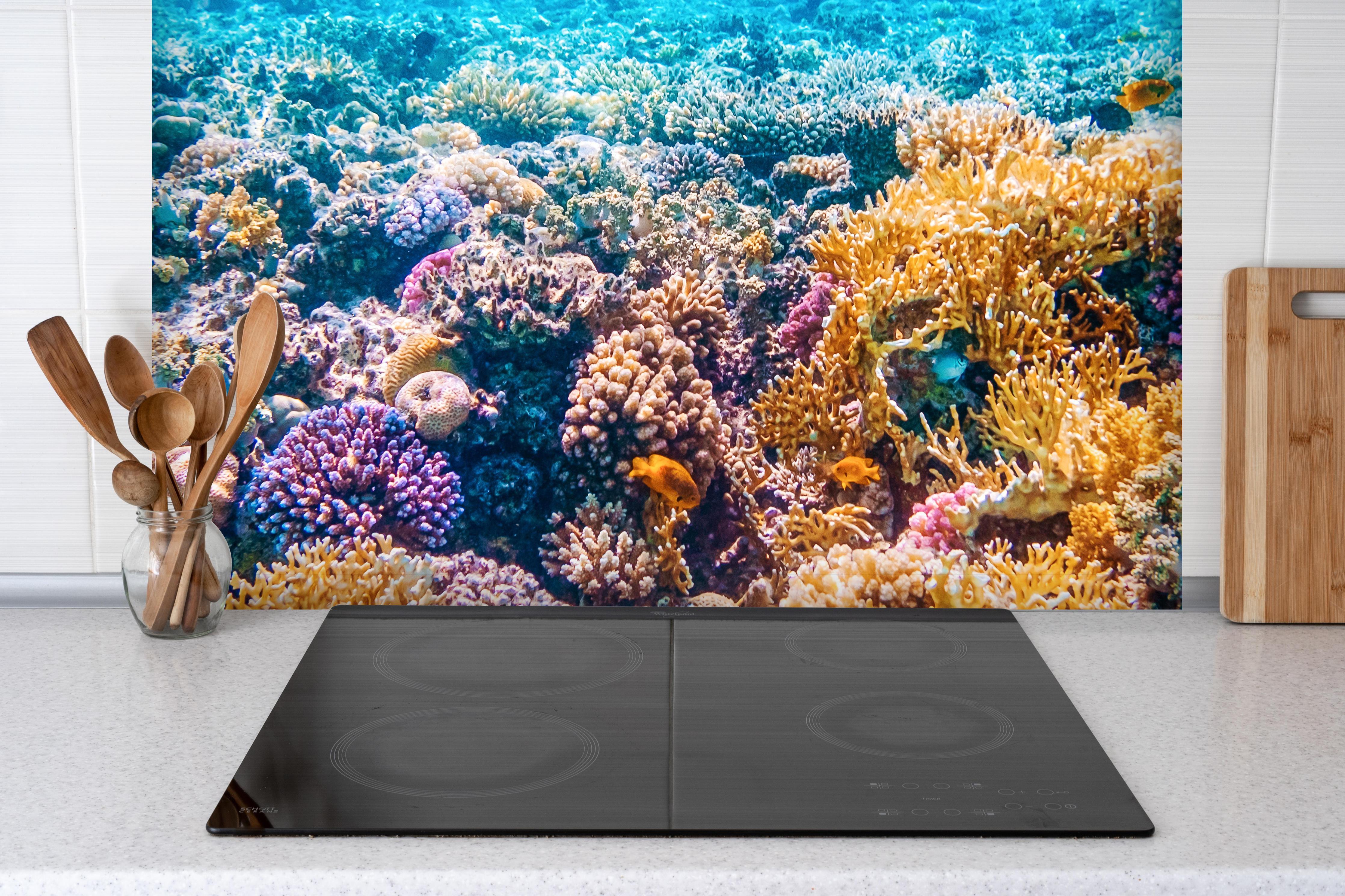 Spritzschutz - Tropisches Korallenriff hinter einem Cerankochfeld zwischen Holz-Kochutensilien