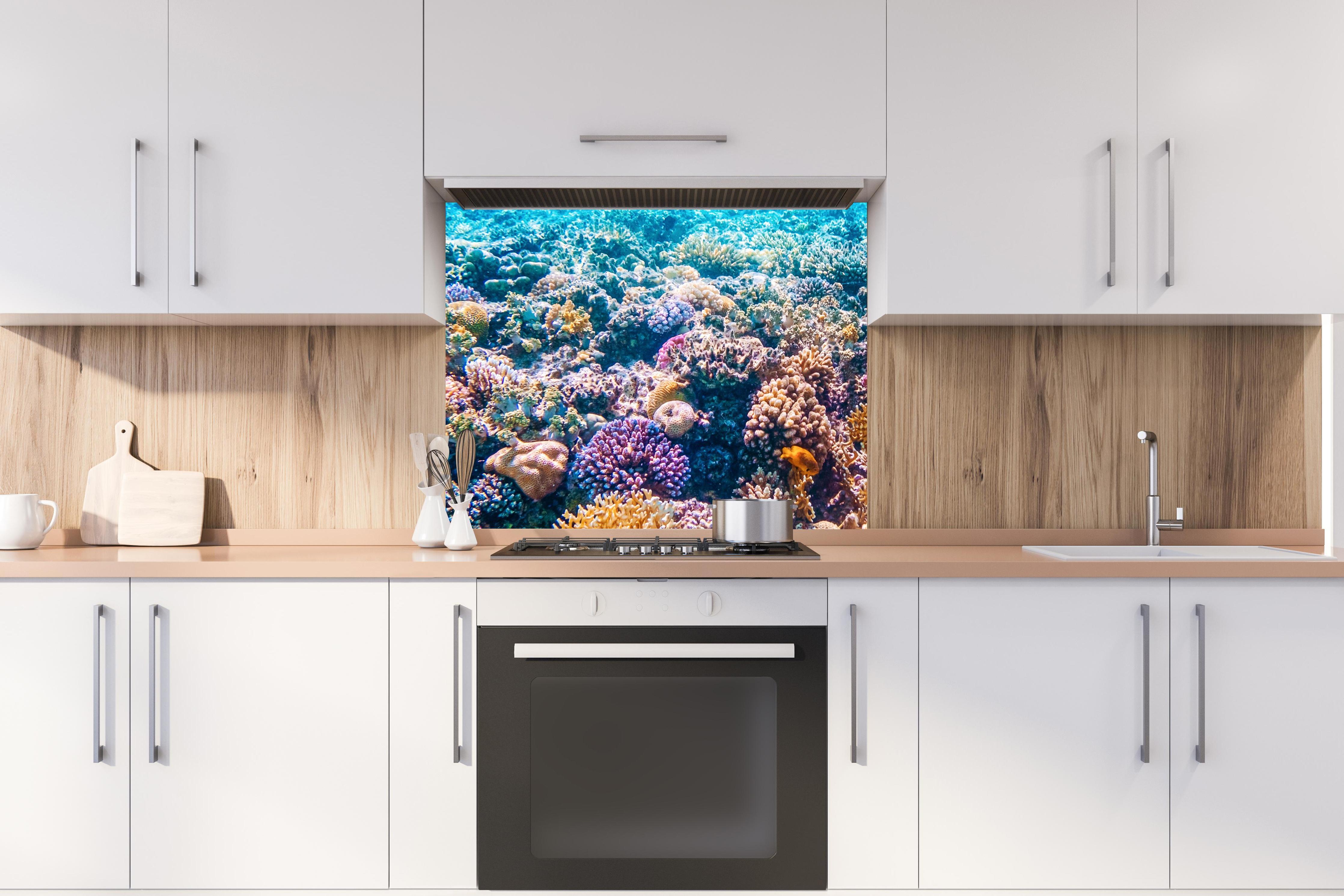 Spritzschutz - Tropisches Korallenriff hinter stilvollem Gasherd unter Dunstabzugshaube