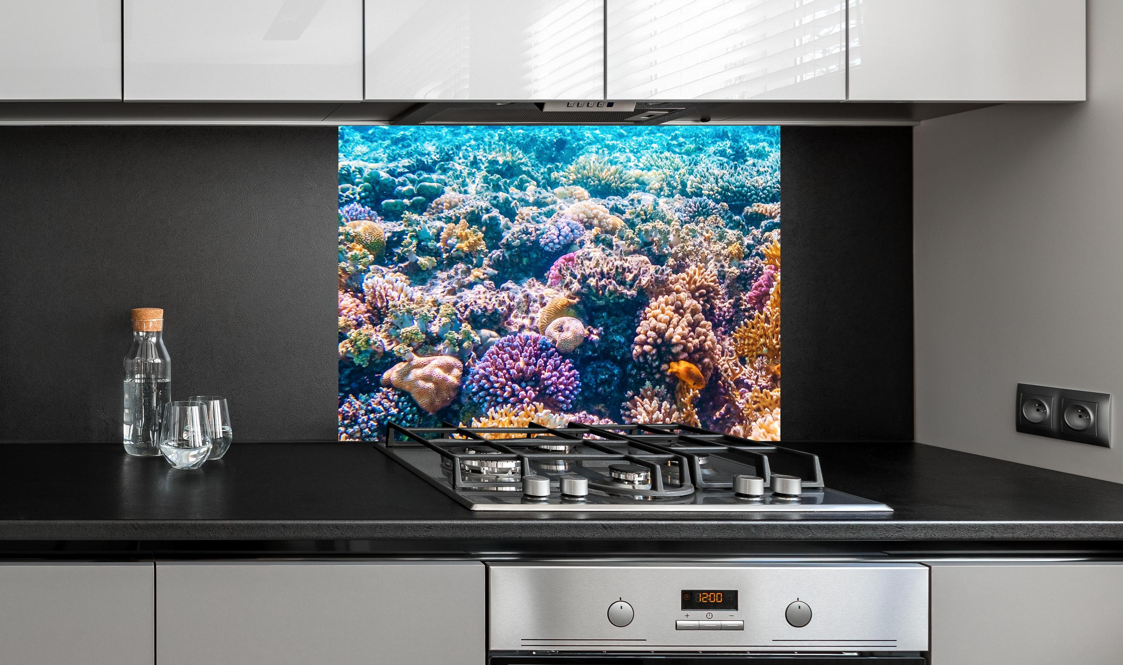 Spritzschutz - Tropisches Korallenriff an edler Anthrazit-Wand hinter silbernem Gasherd