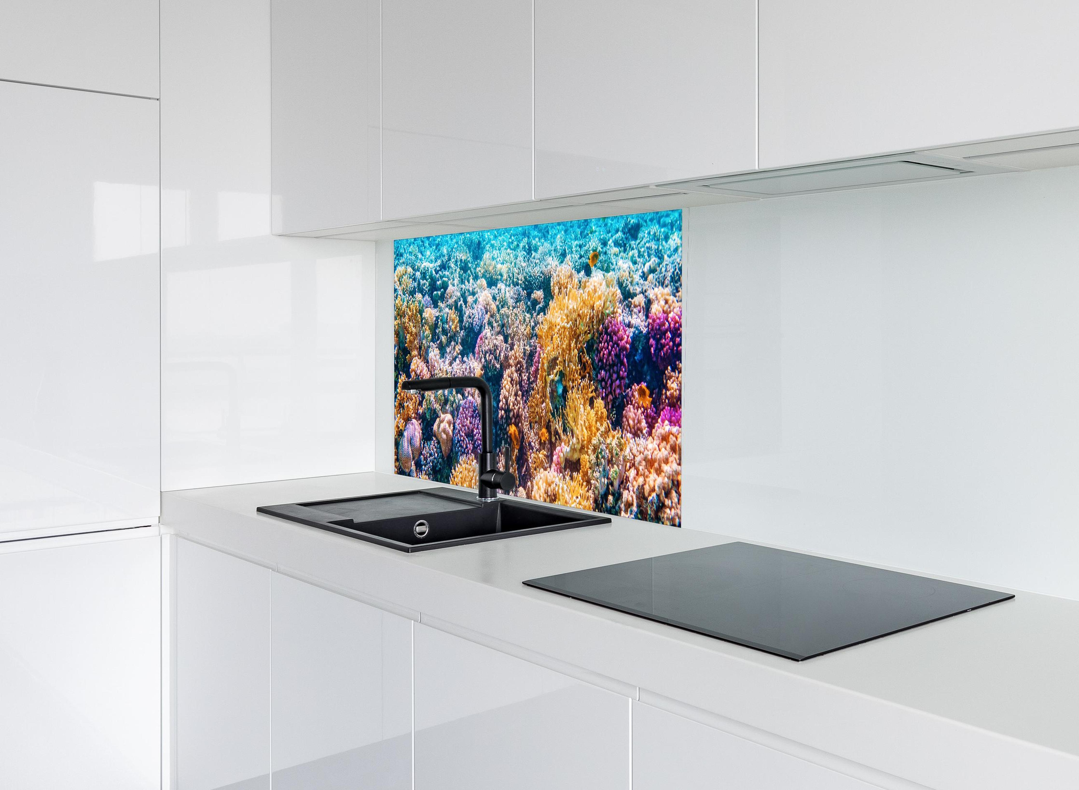 Spritzschutz - Tropisches Korallenriff hinter modernem schwarz-matten Spülbecken in weißer Hochglanz-Küche