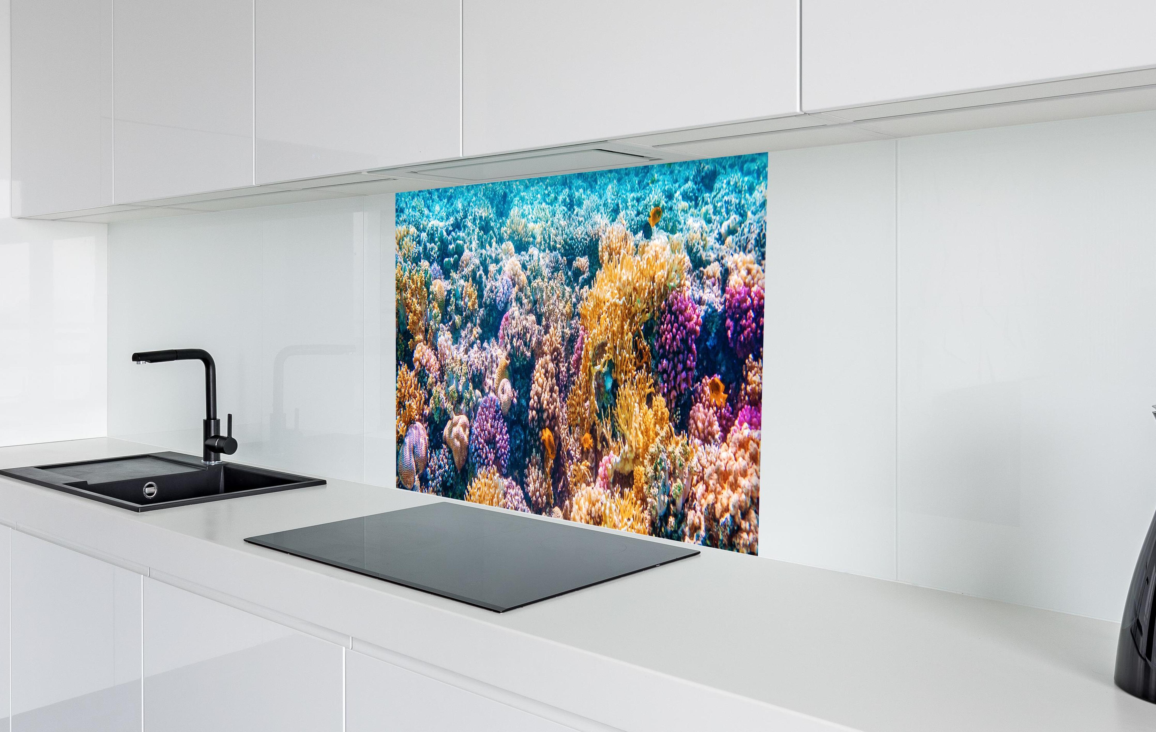 Spritzschutz - Tropisches Korallenriff in weißer Hochglanz-Küche hinter einem Cerankochfeld