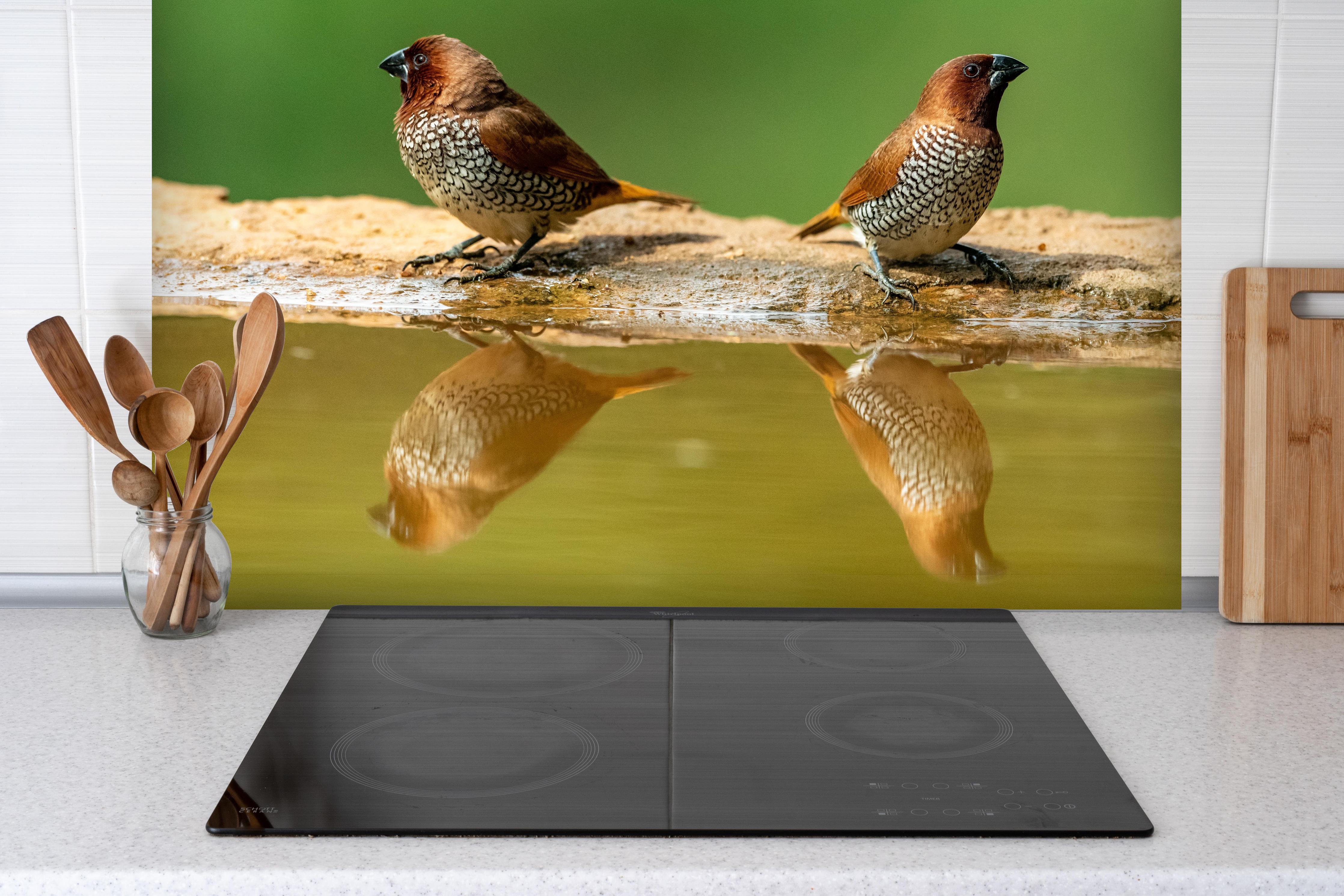 Spritzschutz - Vögel Spiegelung im Wasser hinter einem Cerankochfeld zwischen Holz-Kochutensilien