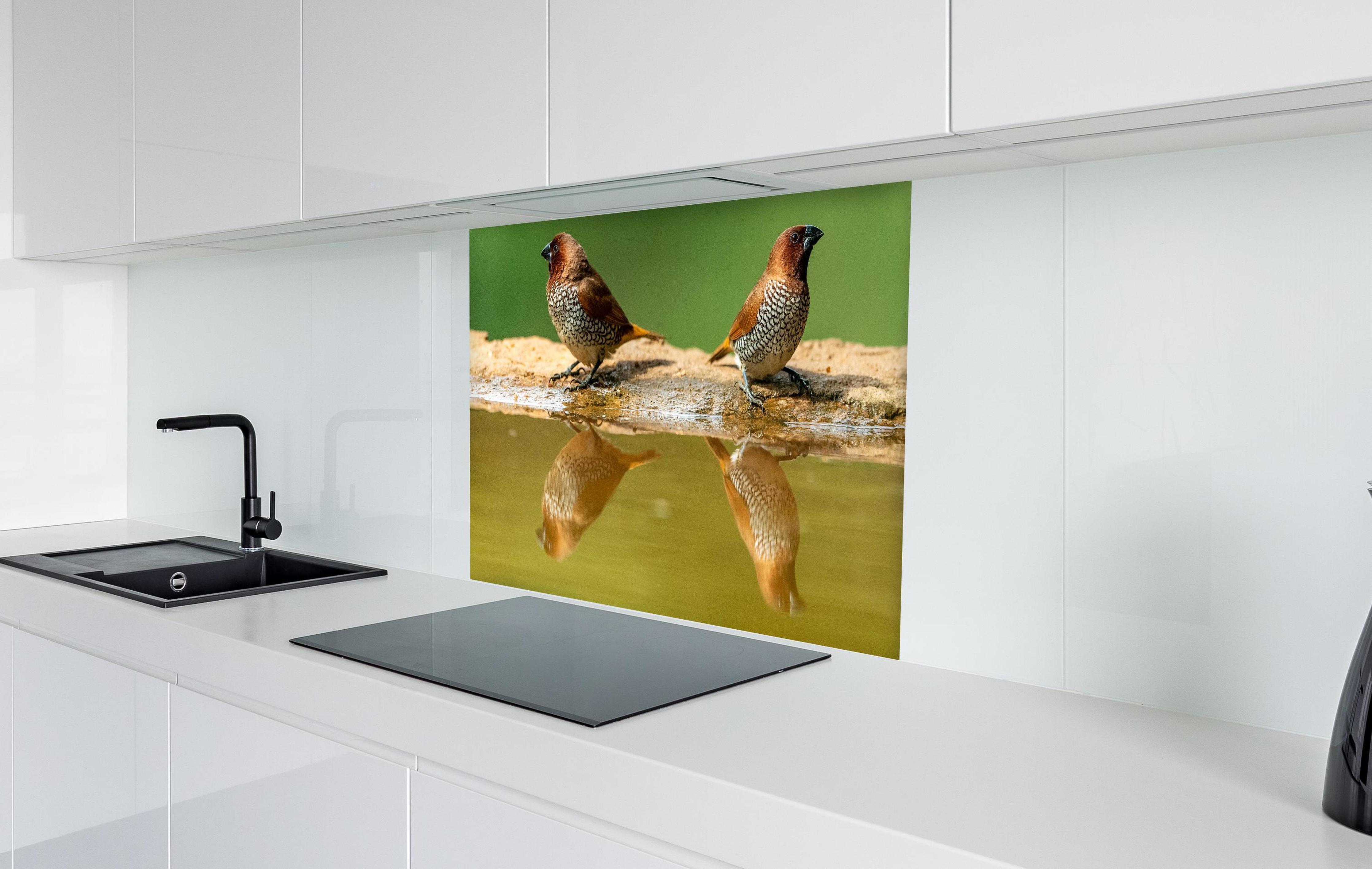 Spritzschutz - Vögel Spiegelung im Wasser in weißer Hochglanz-Küche hinter einem Cerankochfeld