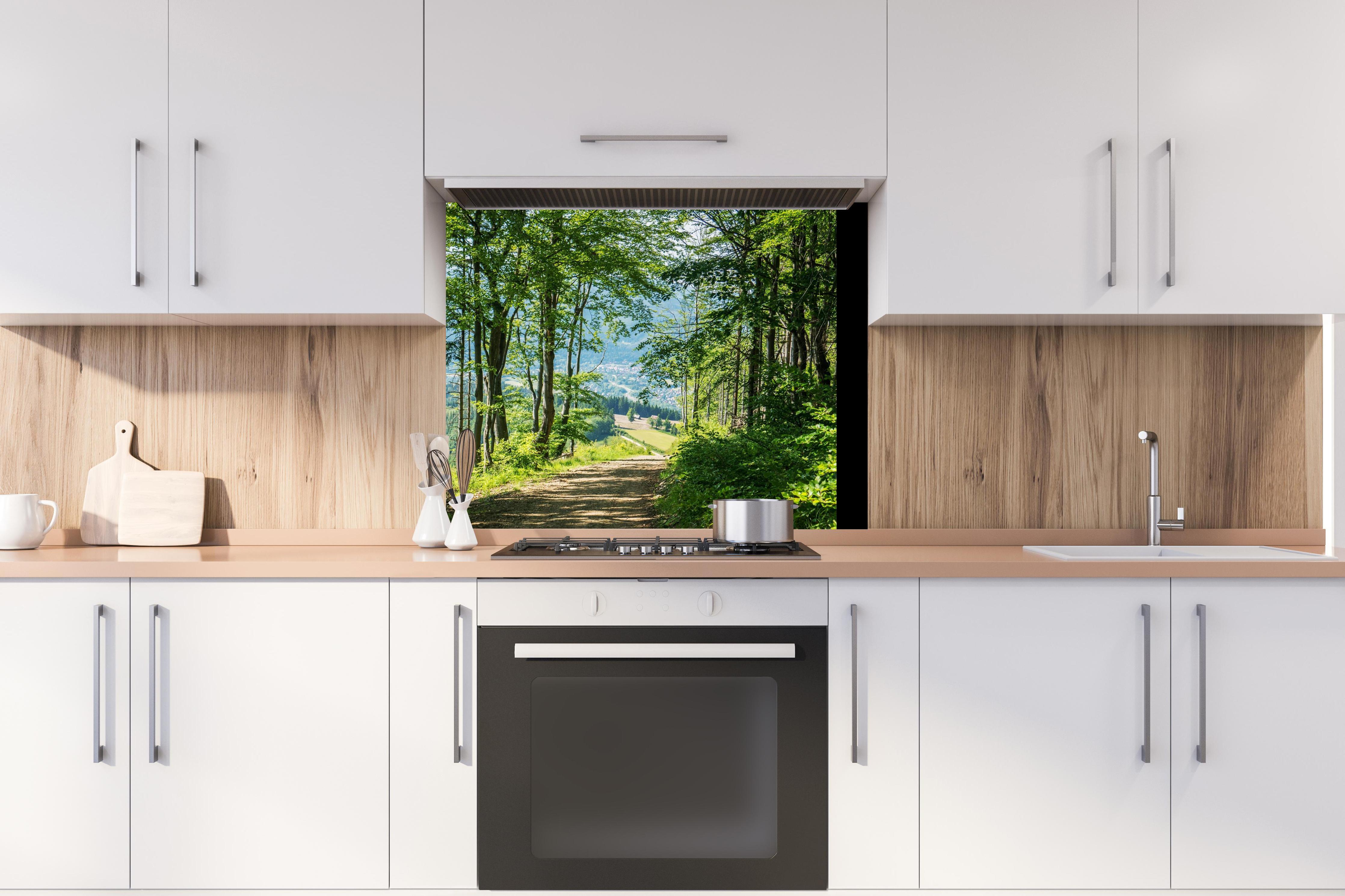 Spritzschutz - Waldweg Beskiden Polen hinter stilvollem Gasherd unter Dunstabzugshaube