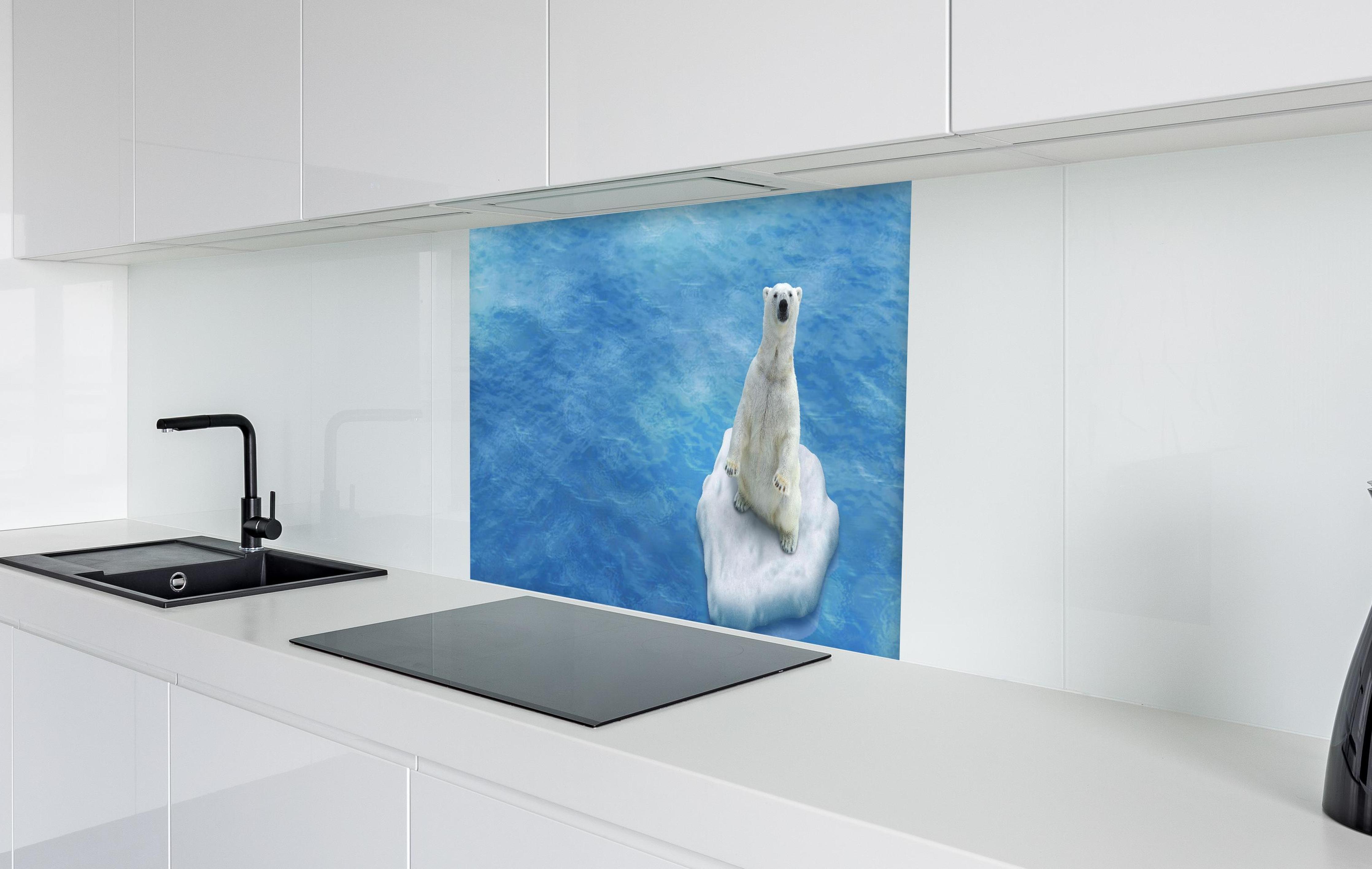 Spritzschutz - Weißer Eisbär treibend auf Eisscholle in weißer Hochglanz-Küche hinter einem Cerankochfeld