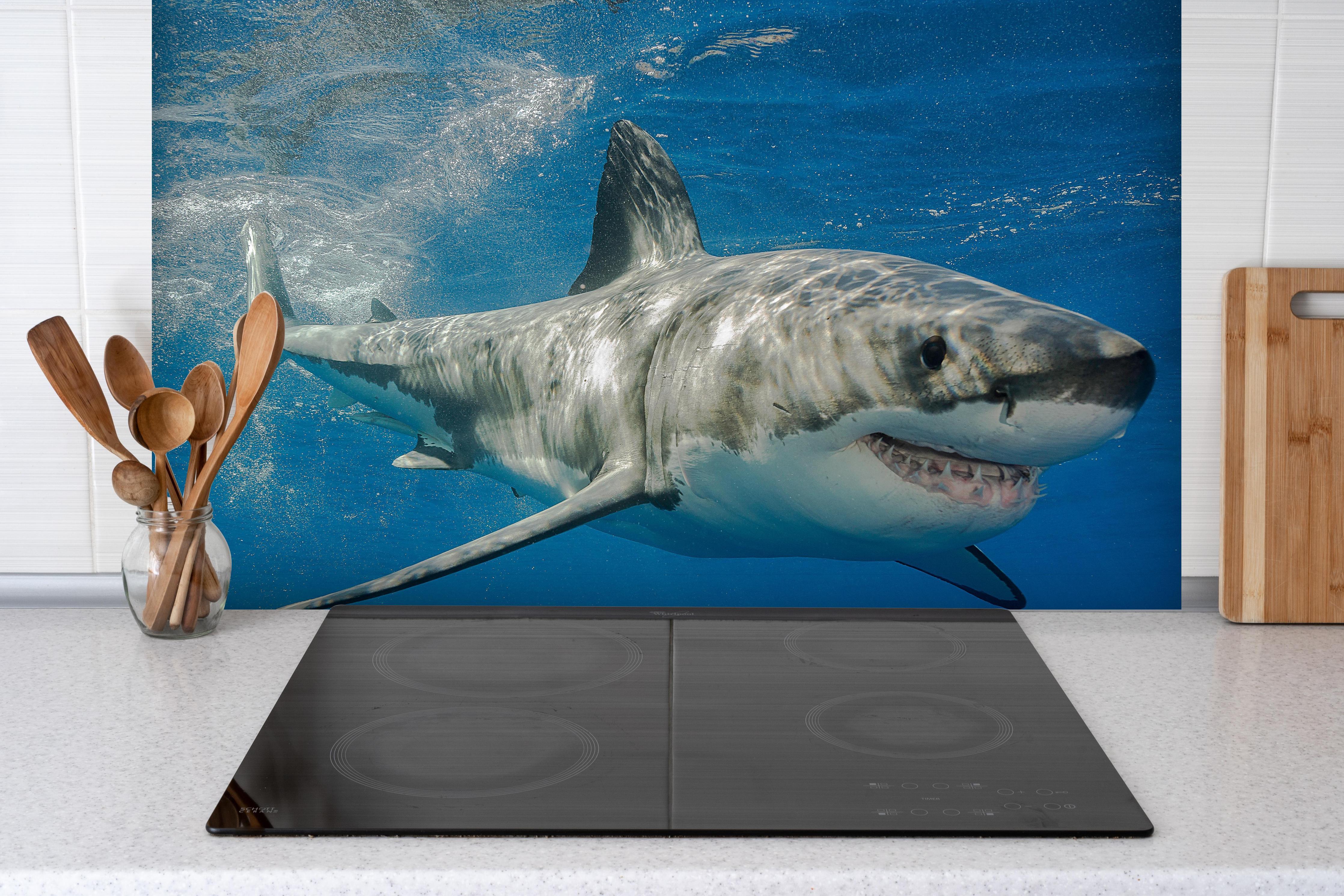 Spritzschutz - Weißer Hai in Unterwasseransicht hinter einem Cerankochfeld zwischen Holz-Kochutensilien