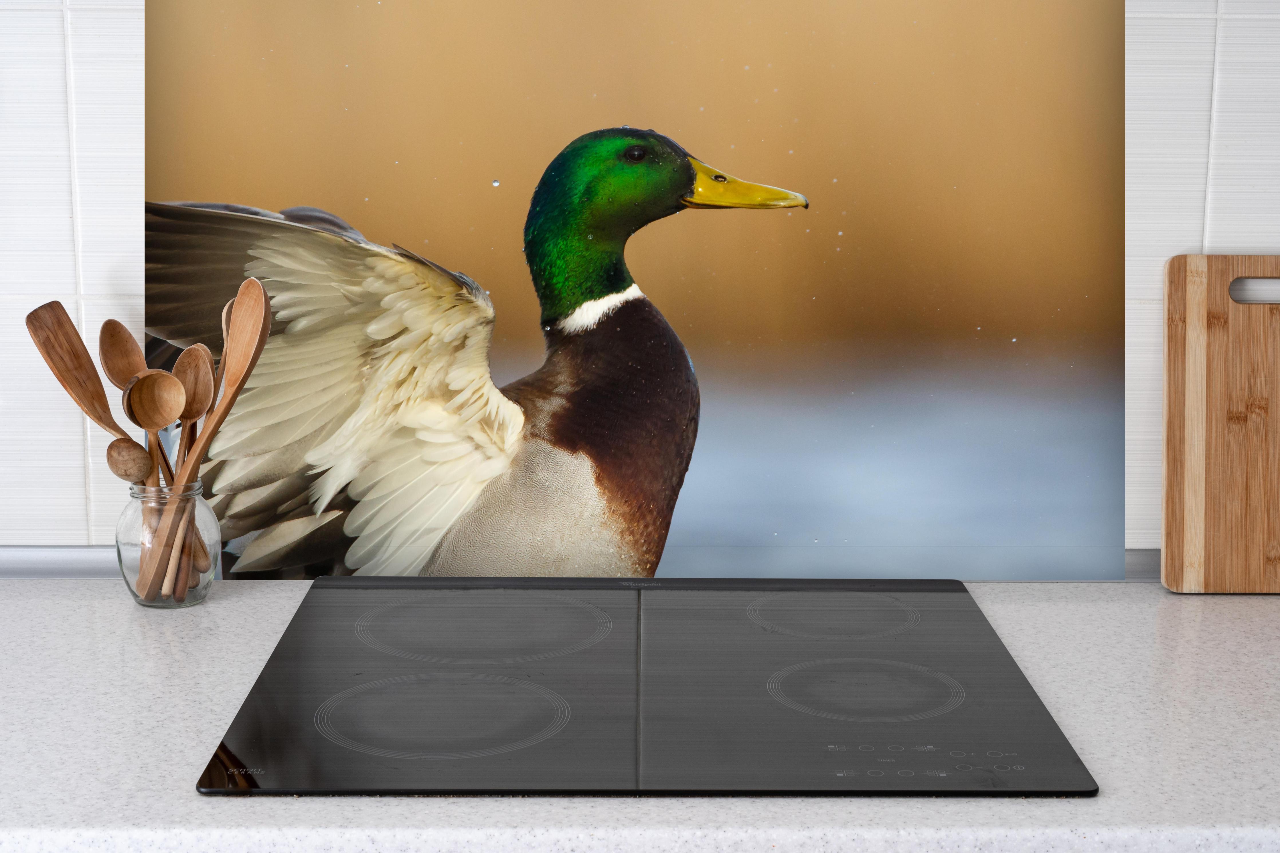 Spritzschutz - Wildente auf dem Wasser hinter einem Cerankochfeld zwischen Holz-Kochutensilien