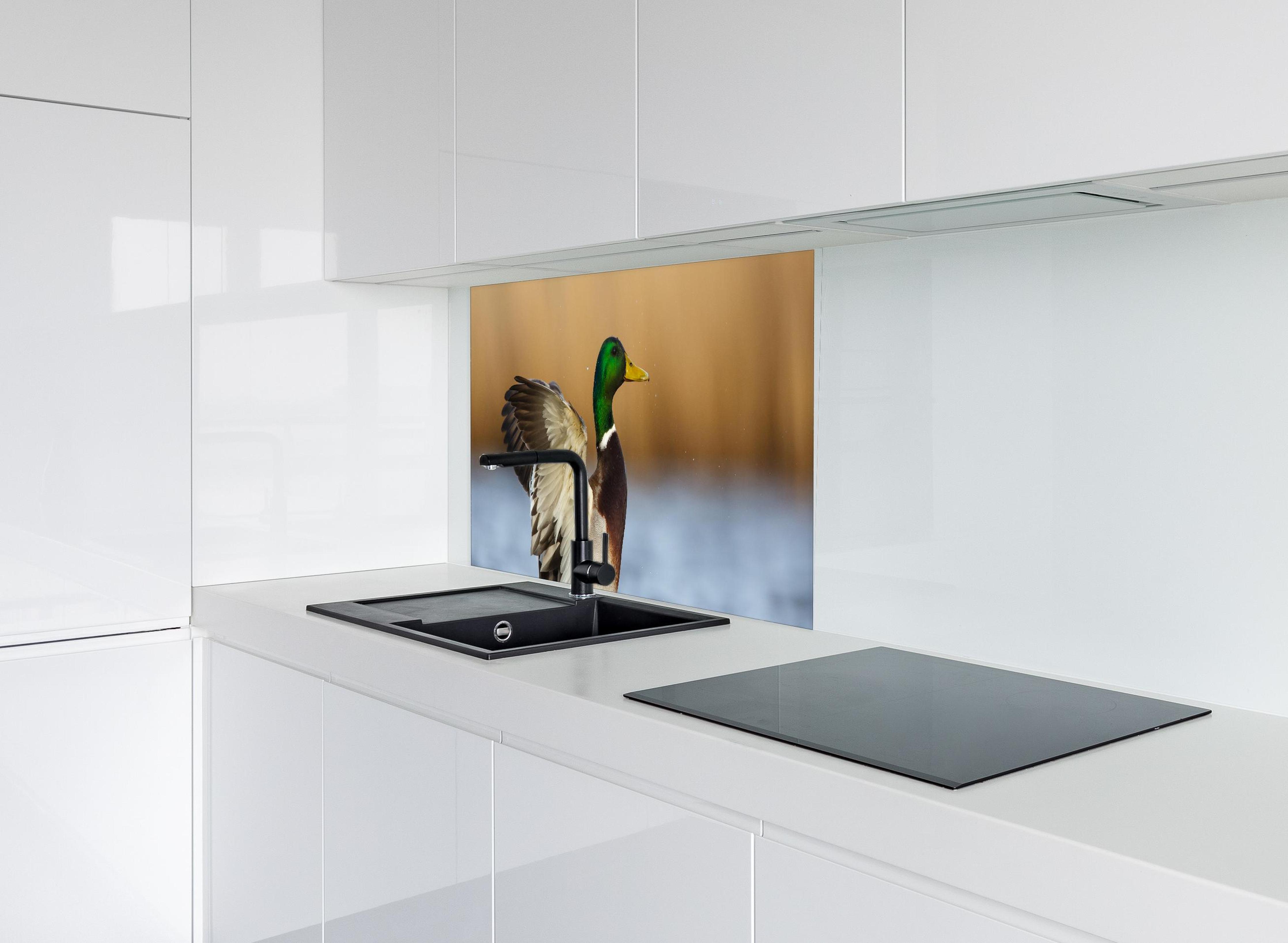 Spritzschutz - Wildente auf dem Wasser hinter modernem schwarz-matten Spülbecken in weißer Hochglanz-Küche