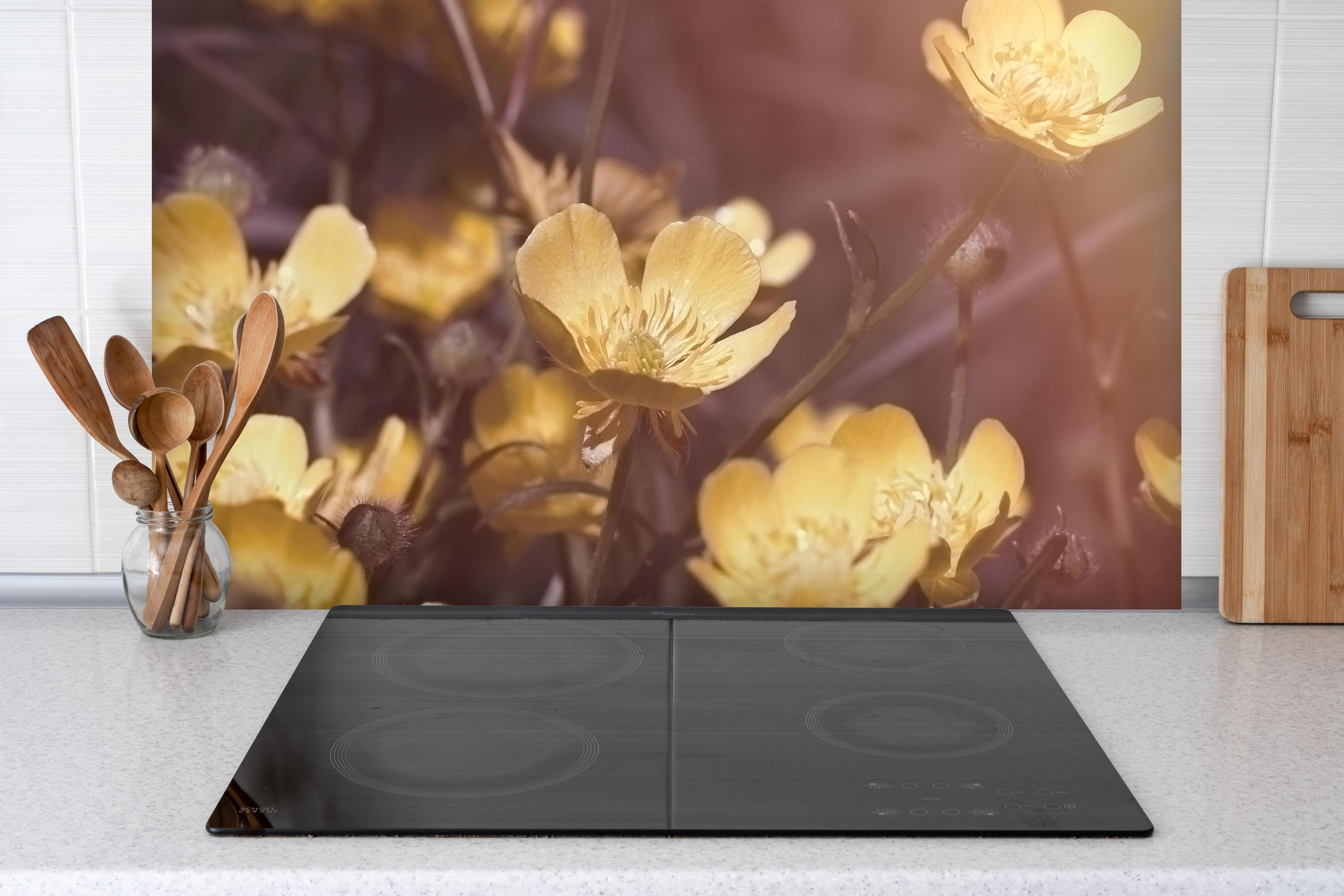 Spritzschutz - Winterlinge auf einer Wiese bei Sonne hinter einem Cerankochfeld zwischen Holz-Kochutensilien