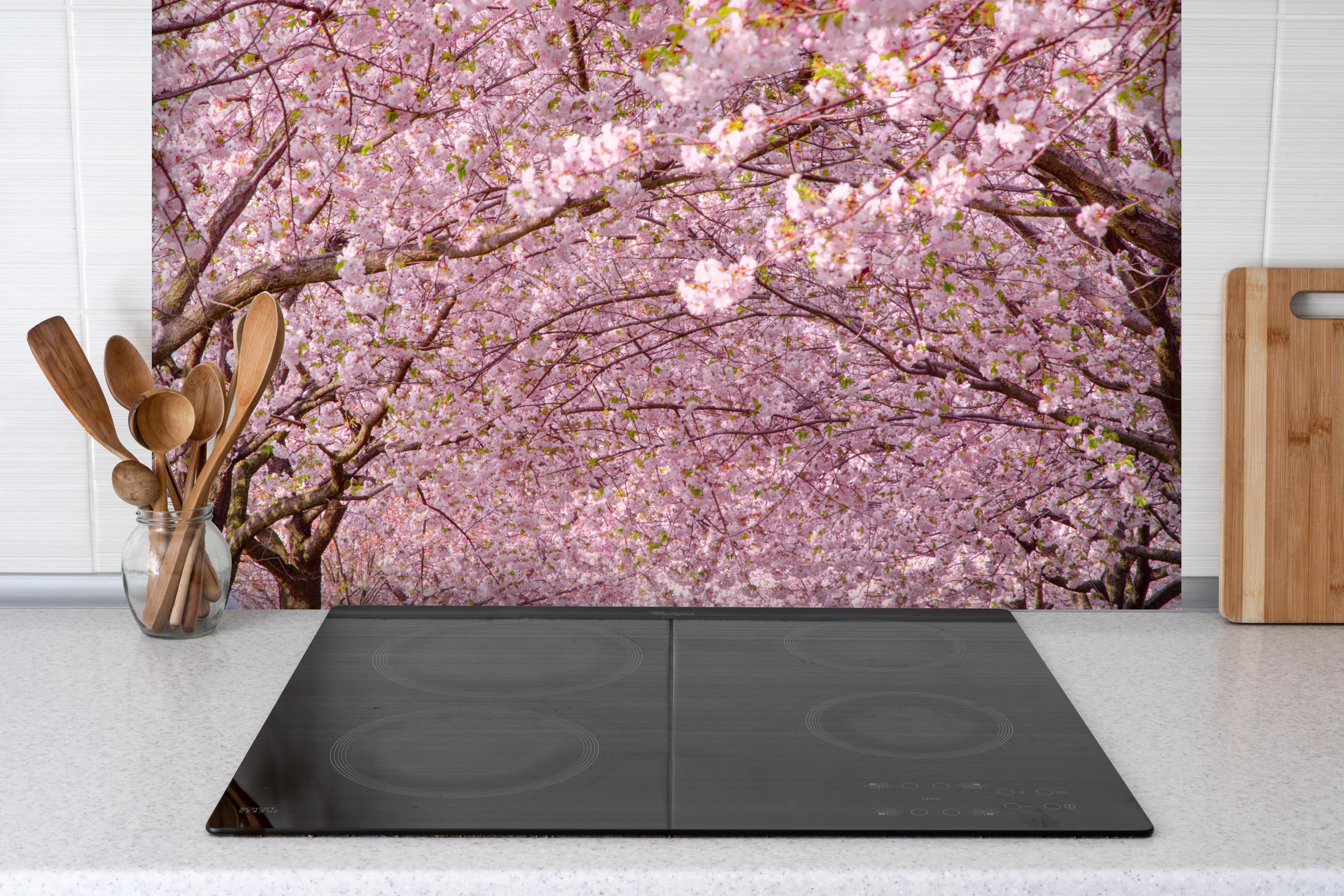 Spritzschutz - Wunderschöne Kirschbaumallee hinter einem Cerankochfeld zwischen Holz-Kochutensilien