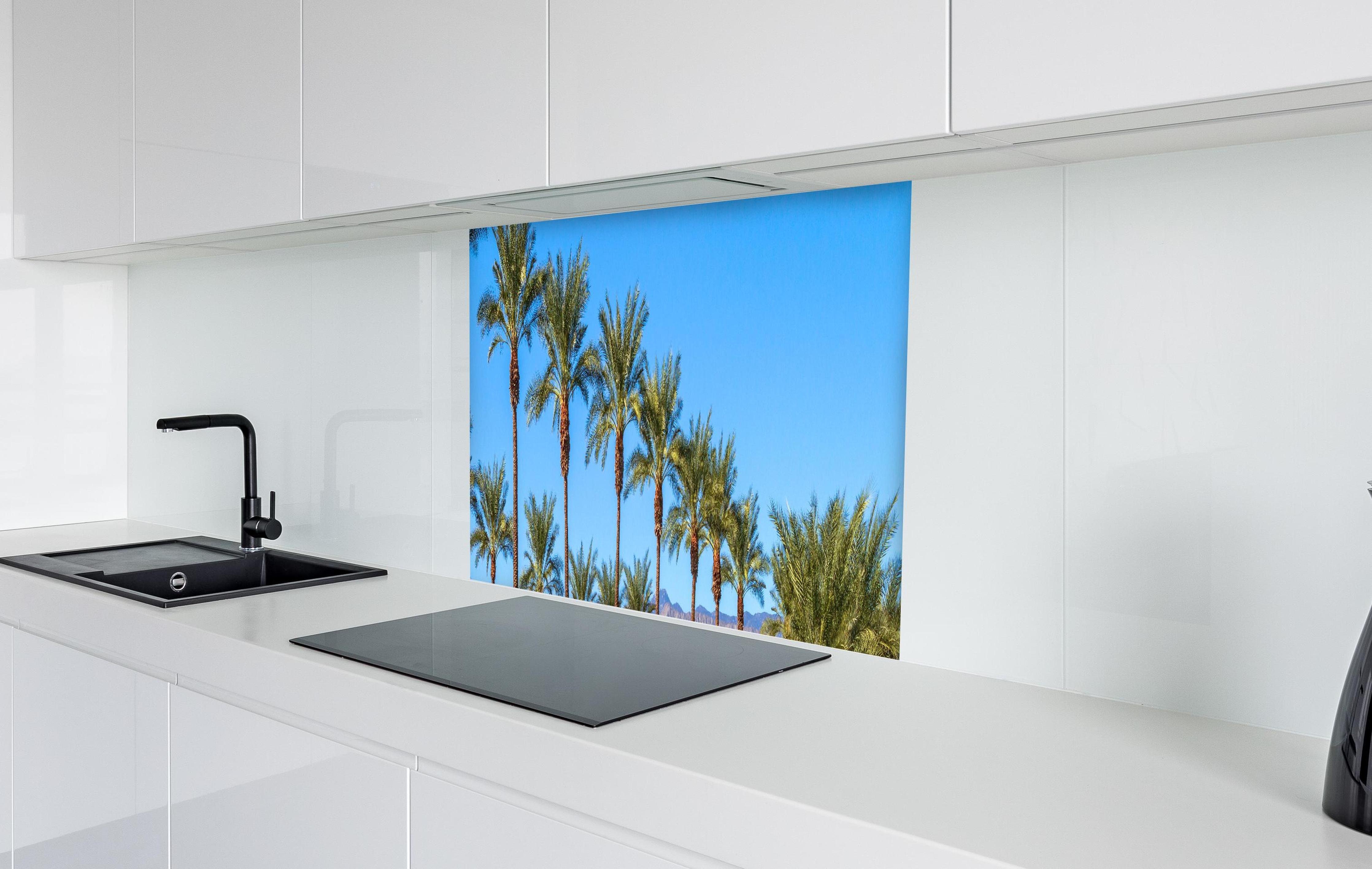 Spritzschutz - Wundervolle Palmen in Kalifornien in weißer Hochglanz-Küche hinter einem Cerankochfeld