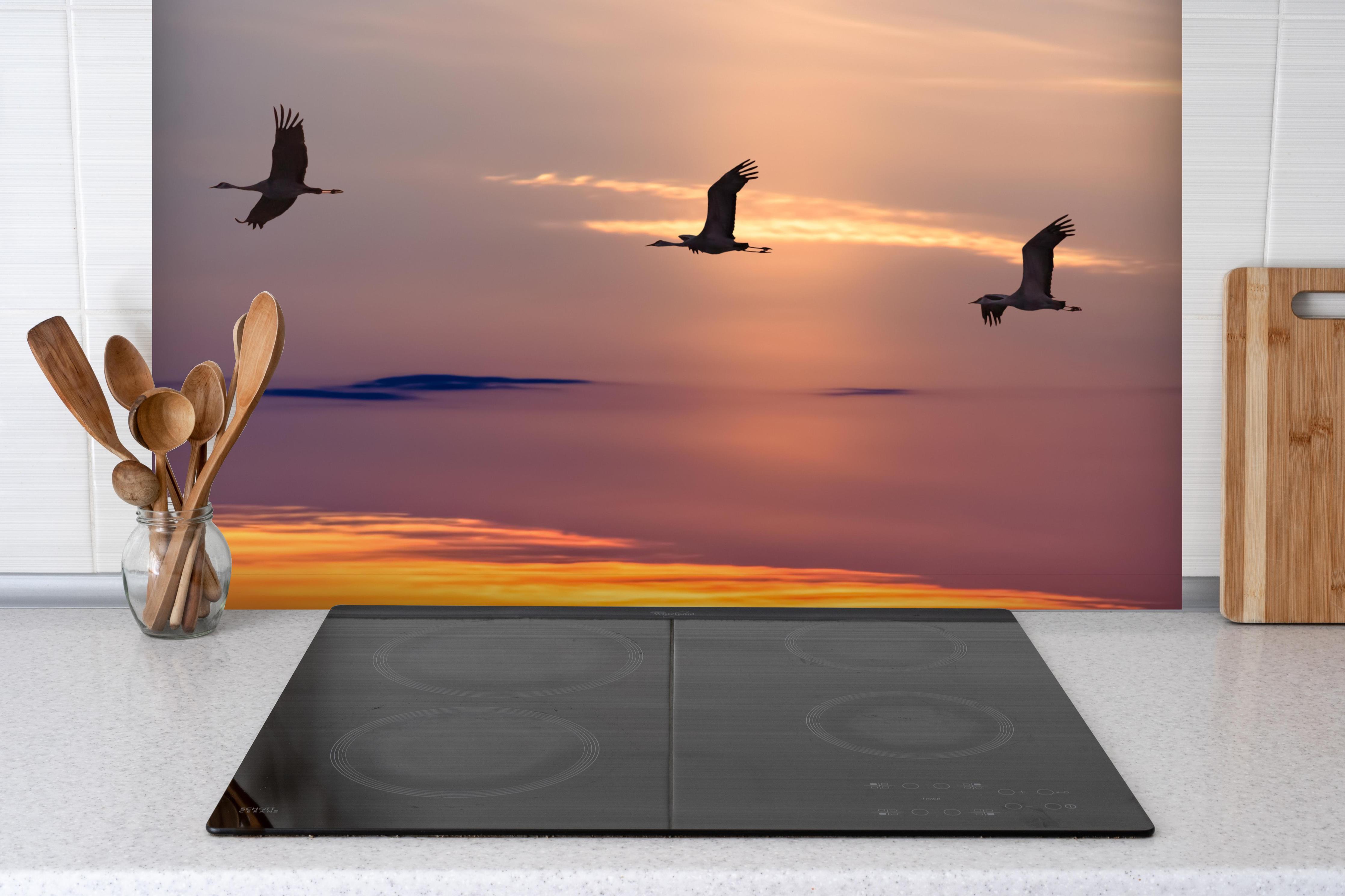 Spritzschutz - Zugvögel fliegen bei Sonnenuntergang hinter einem Cerankochfeld zwischen Holz-Kochutensilien