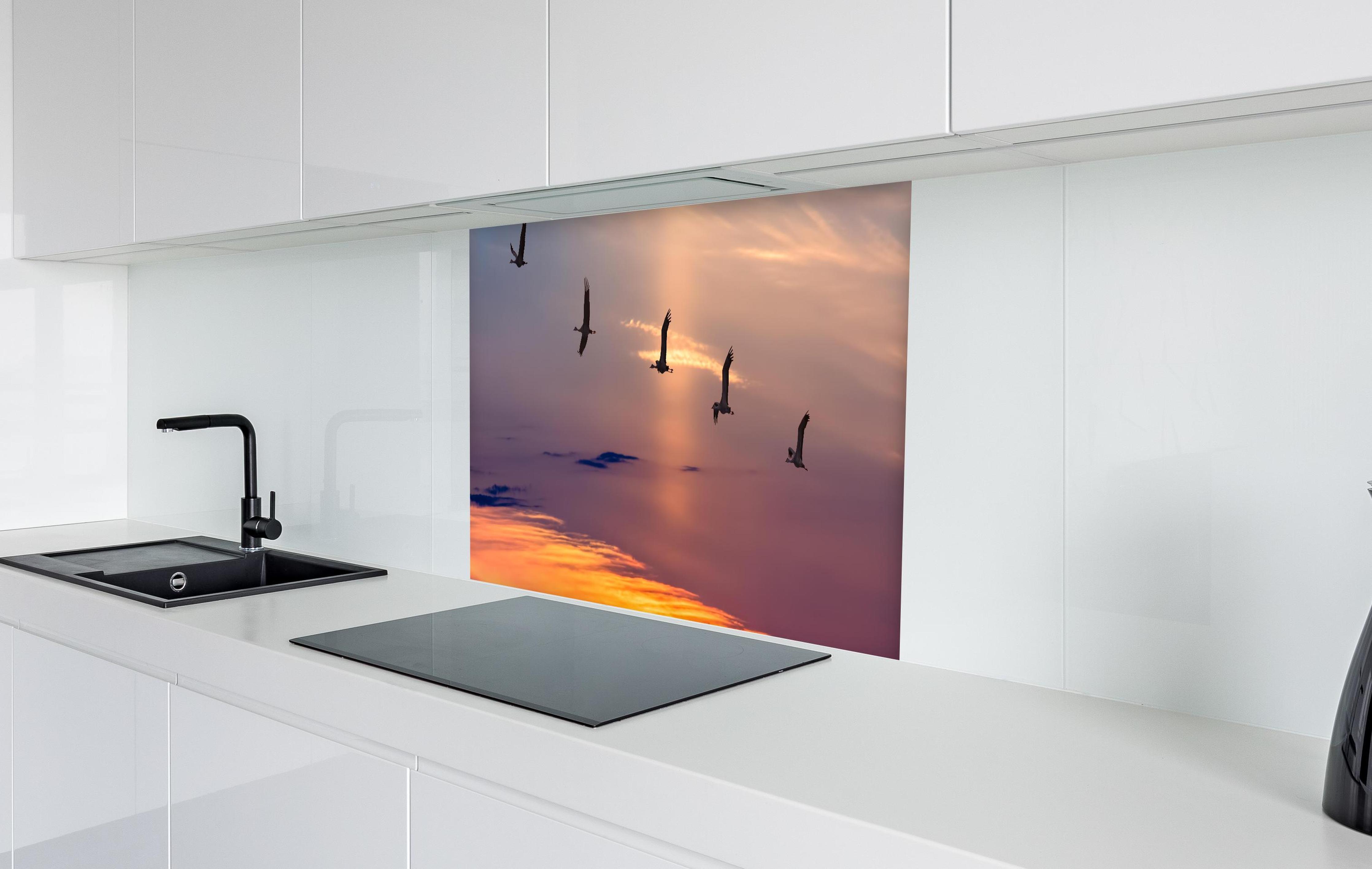 Spritzschutz - Zugvögel fliegen bei Sonnenuntergang in weißer Hochglanz-Küche hinter einem Cerankochfeld