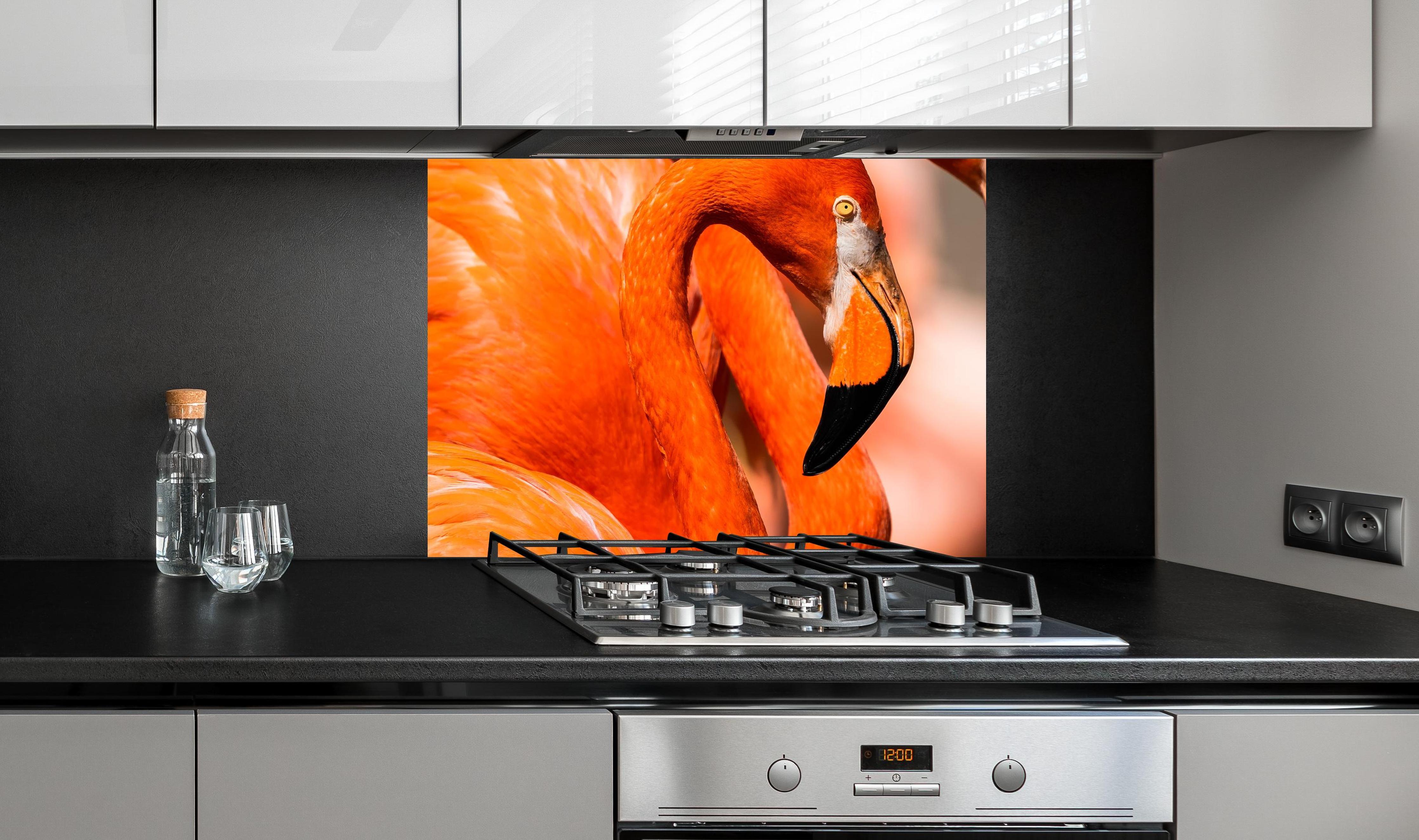 Spritzschutz - Zwei Flamingos in der Herde an edler Anthrazit-Wand hinter silbernem Gasherd