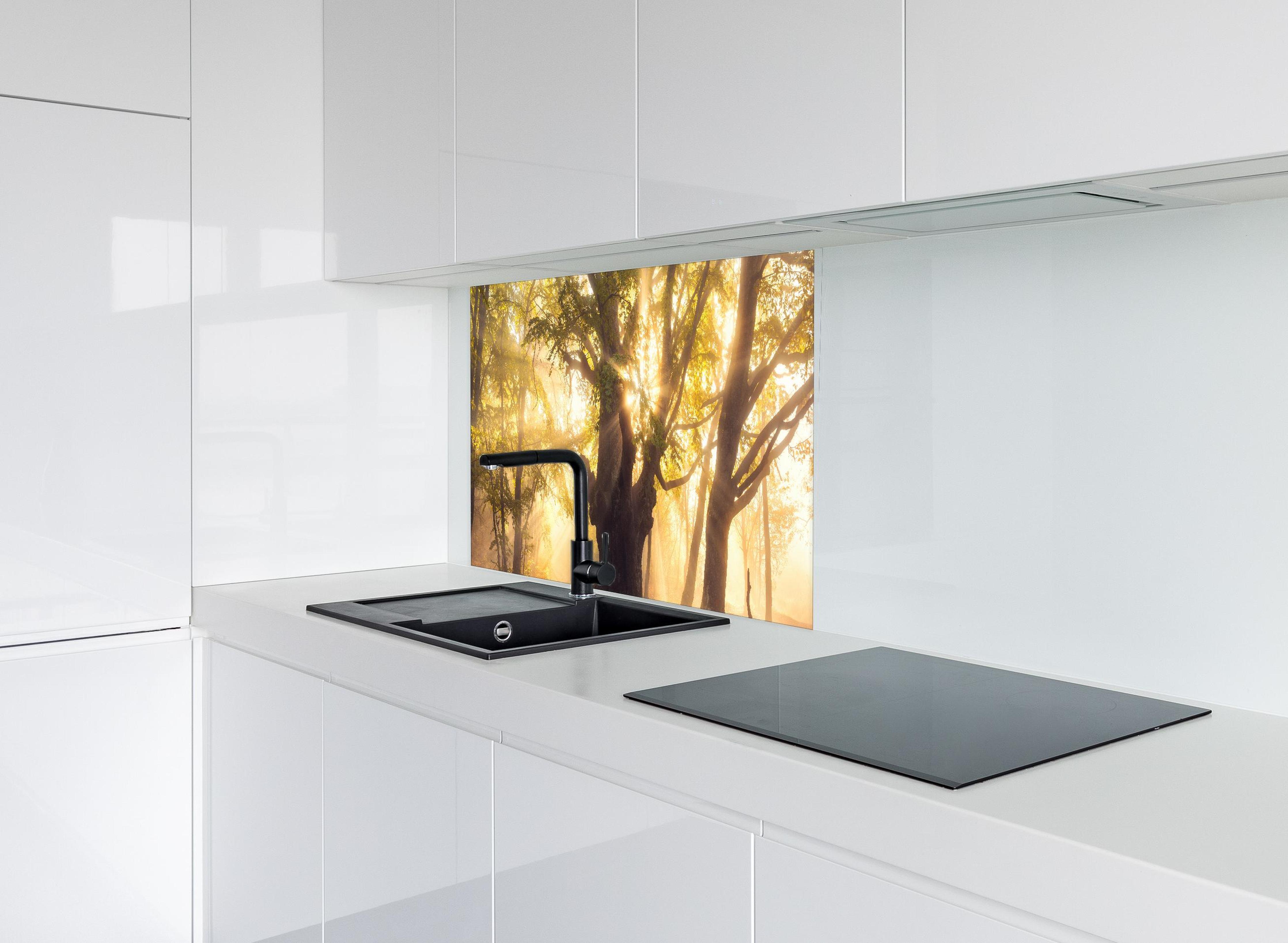 Spritzschutz - alter Baum bei Sonnenaufgang im Nebel hinter modernem schwarz-matten Spülbecken in weißer Hochglanz-Küche