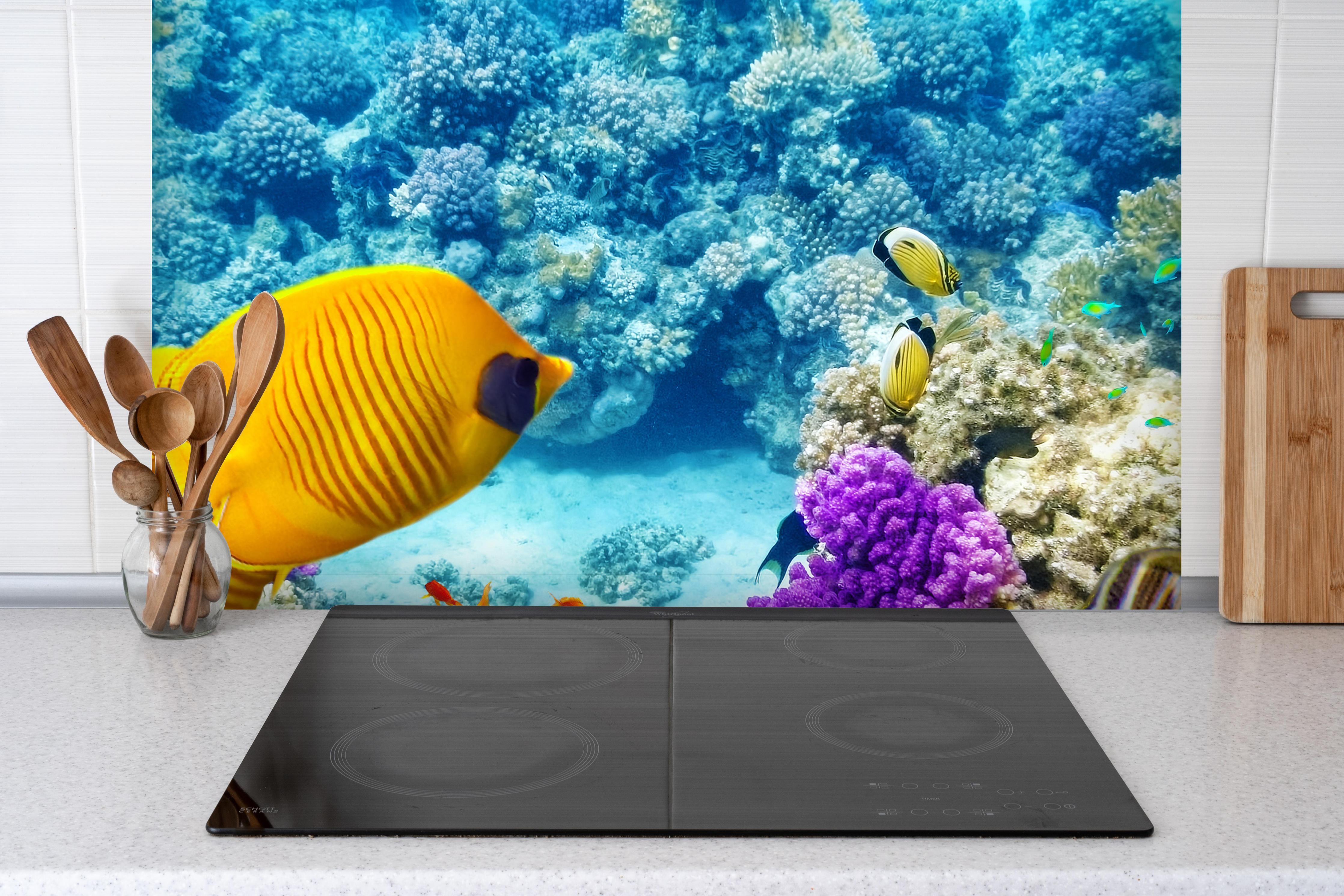 Spritzschutz - bunte Unterwasserwelt in Australien hinter einem Cerankochfeld zwischen Holz-Kochutensilien