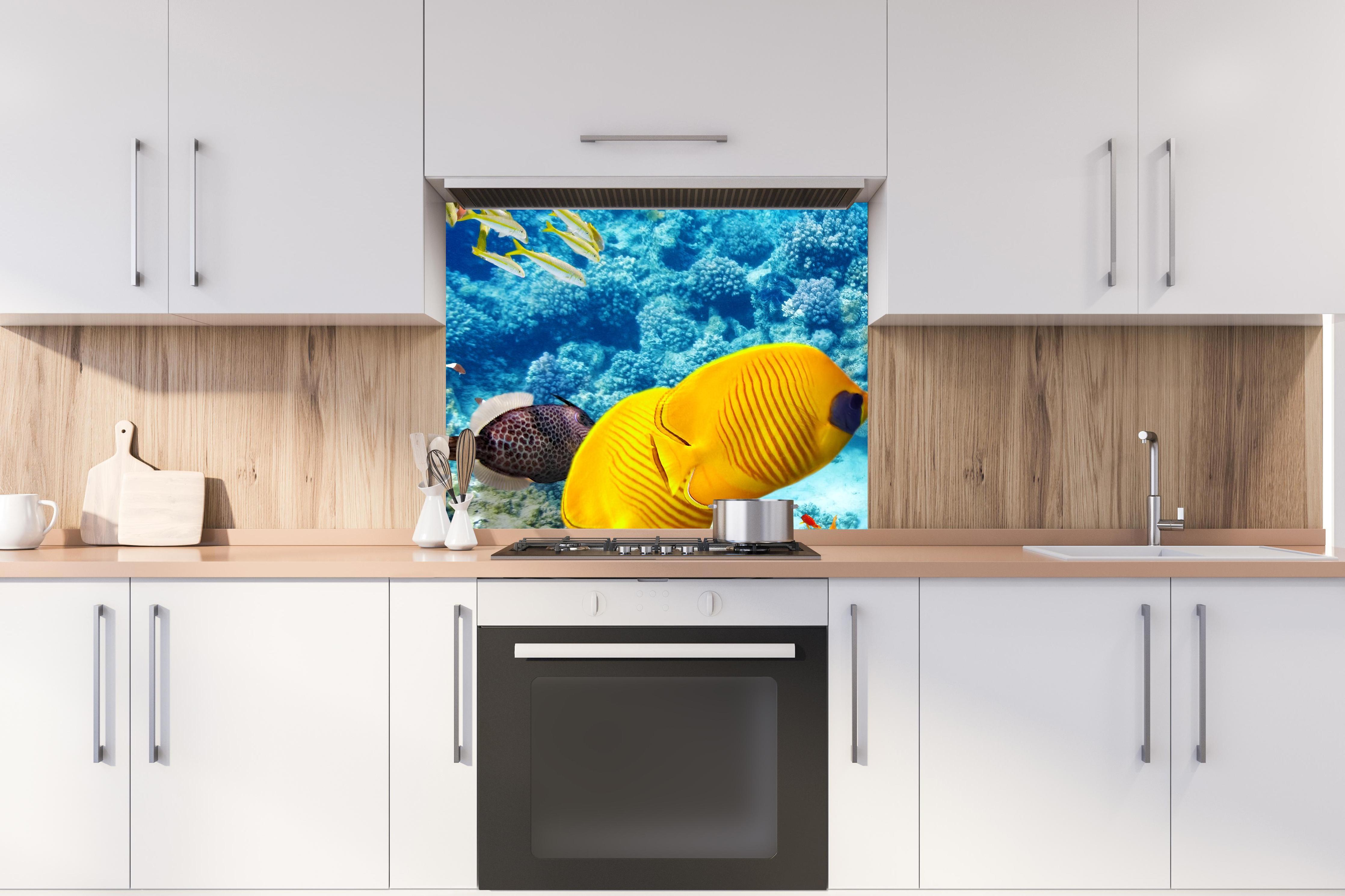 Spritzschutz - bunte Unterwasserwelt in Australien hinter stilvollem Gasherd unter Dunstabzugshaube