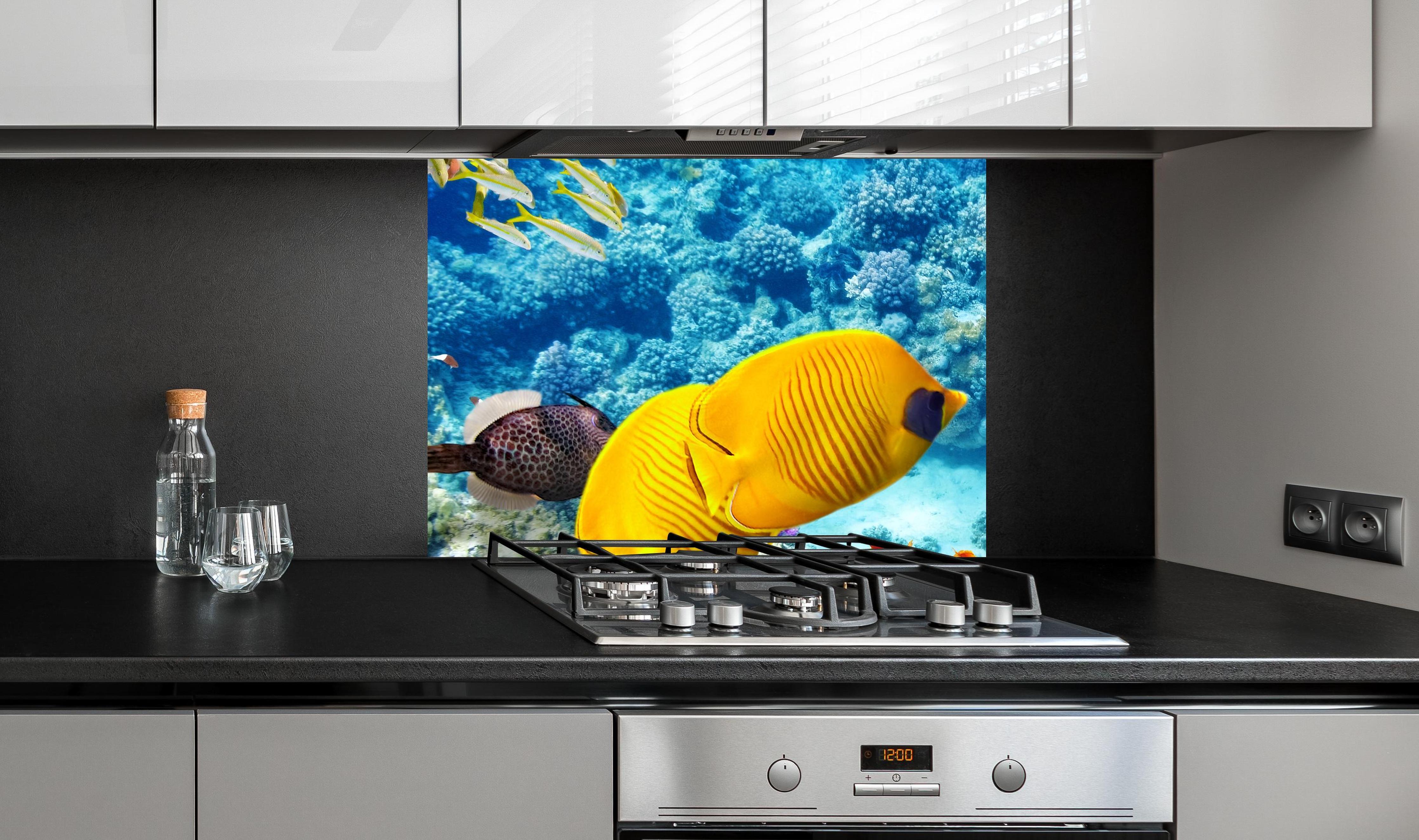 Spritzschutz - bunte Unterwasserwelt in Australien an edler Anthrazit-Wand hinter silbernem Gasherd