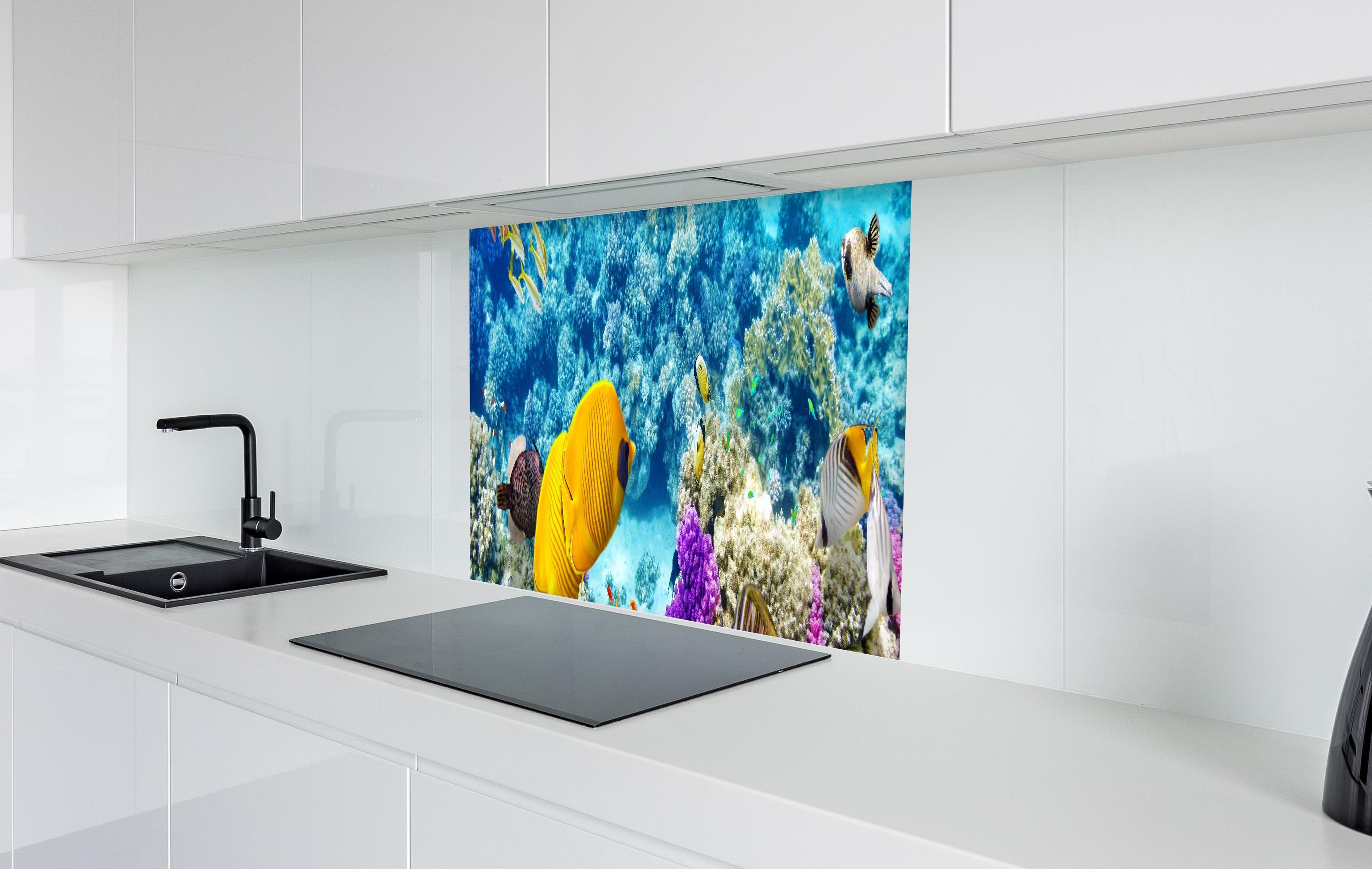 Spritzschutz - bunte Unterwasserwelt in Australien in weißer Hochglanz-Küche hinter einem Cerankochfeld