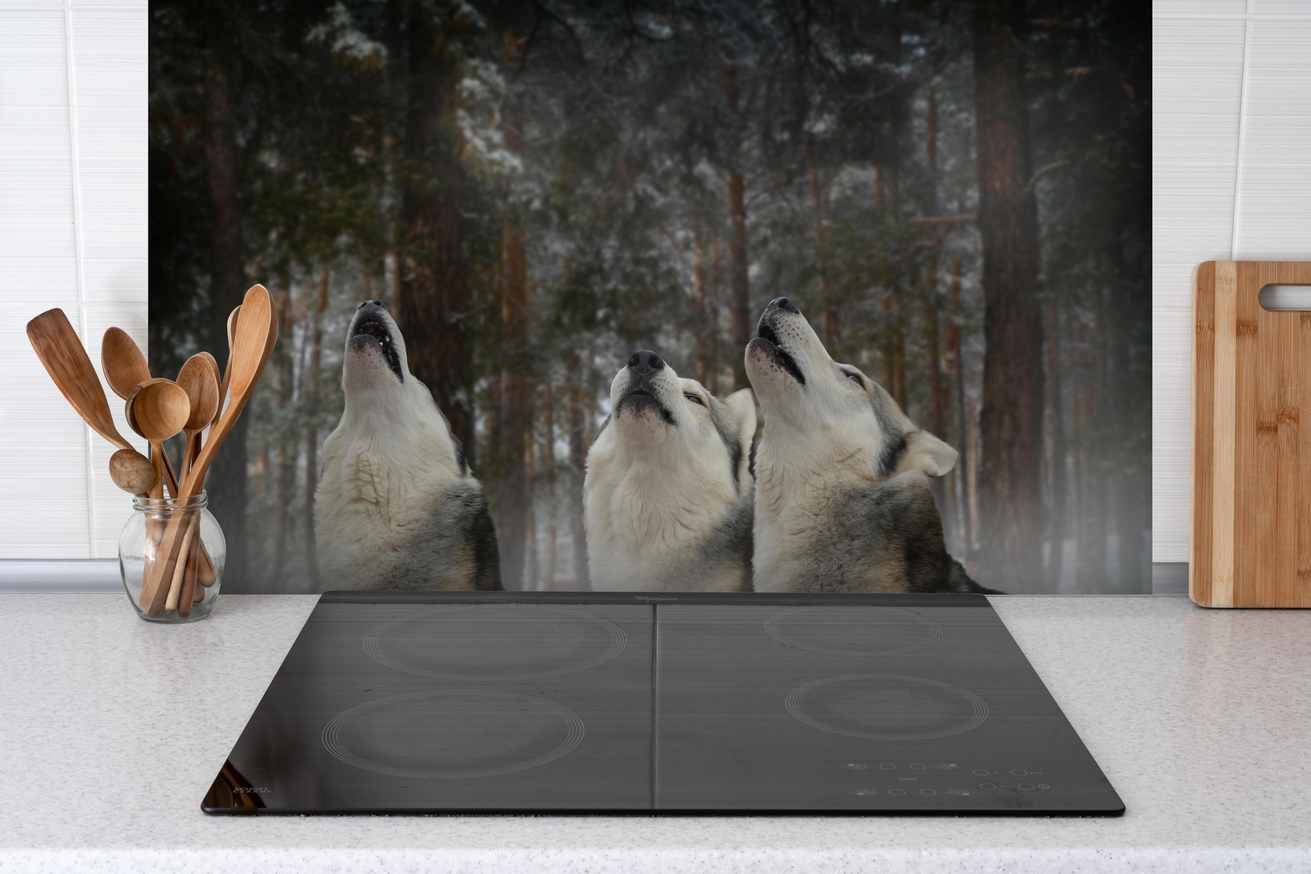 Spritzschutz - drei heulende Wölfe hinter einem Cerankochfeld zwischen Holz-Kochutensilien