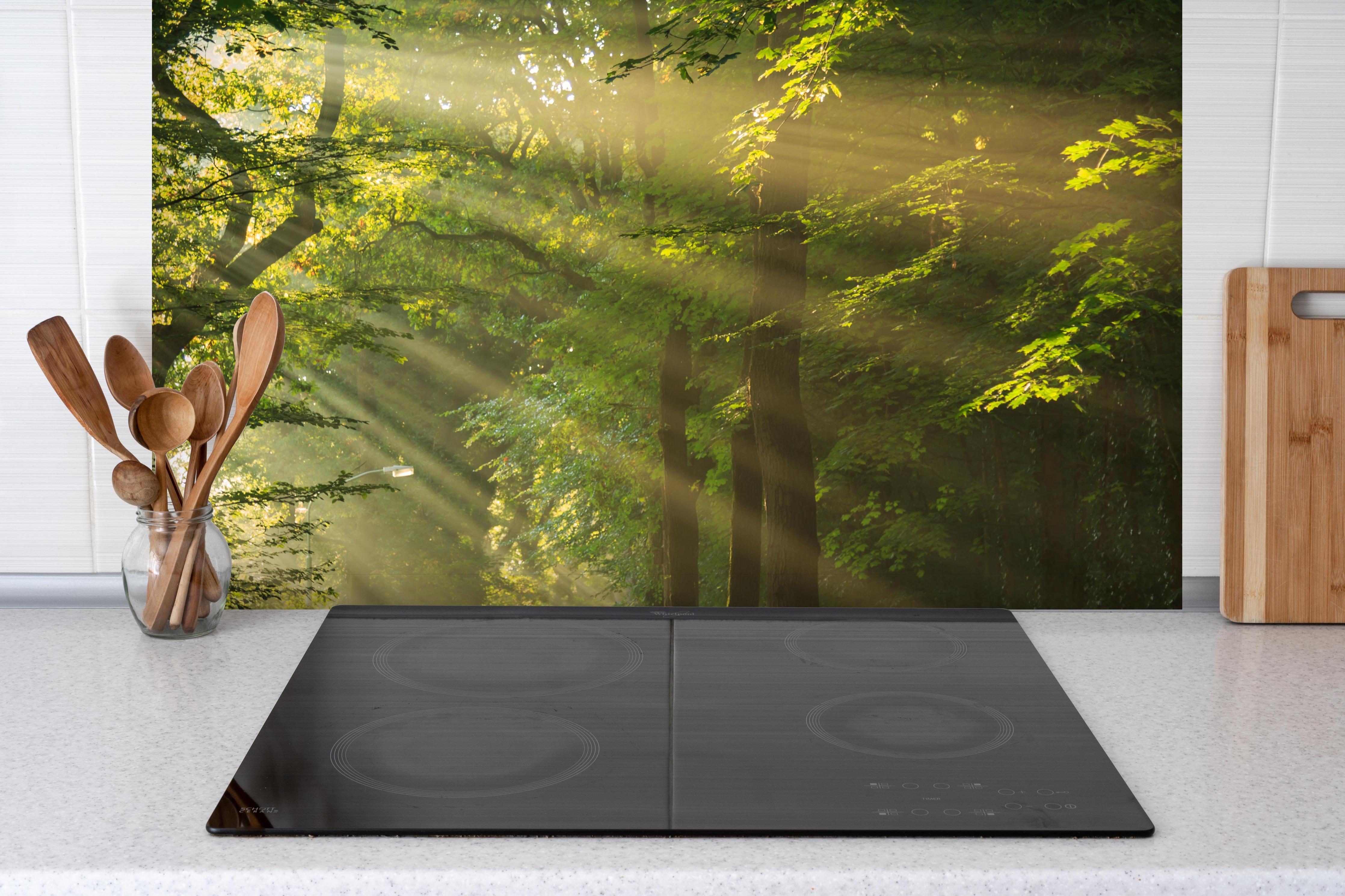 Spritzschutz - erleuchtende Sonnenstrahlen in den Wald hinter einem Cerankochfeld zwischen Holz-Kochutensilien