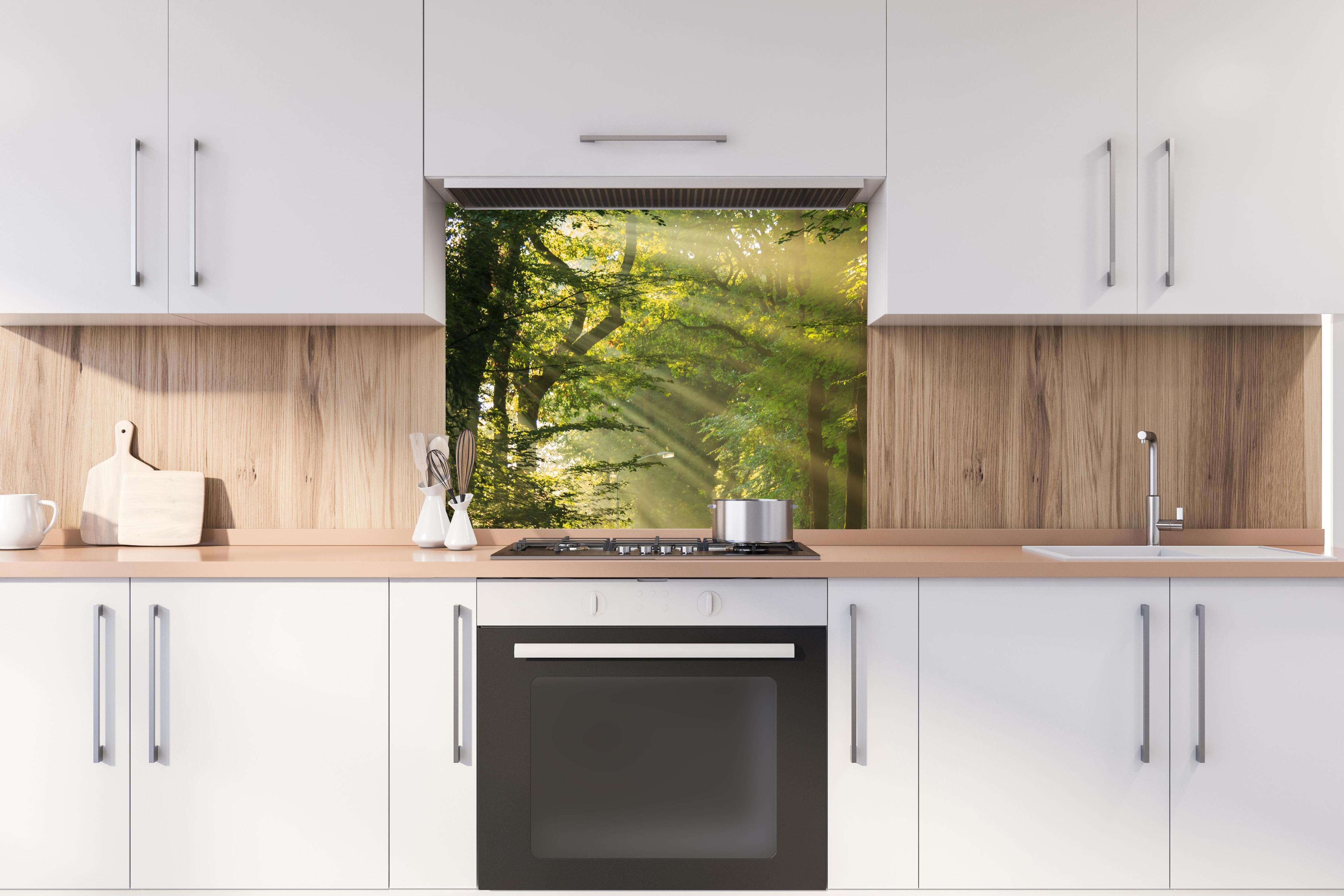 Spritzschutz - erleuchtende Sonnenstrahlen in den Wald hinter stilvollem Gasherd unter Dunstabzugshaube