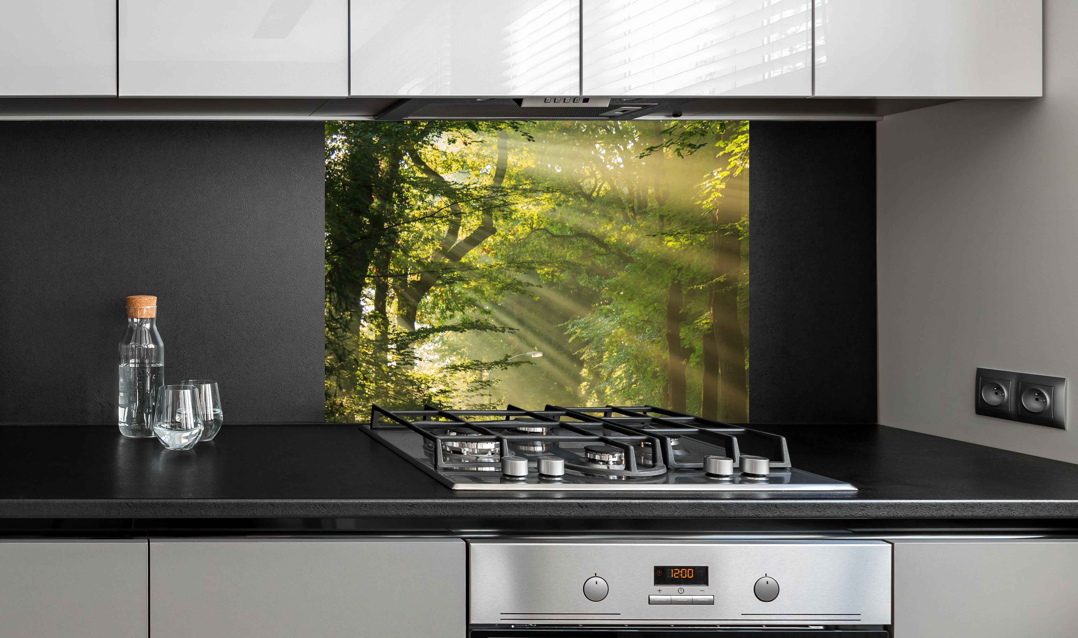 Spritzschutz - erleuchtende Sonnenstrahlen in den Wald an edler Anthrazit-Wand hinter silbernem Gasherd
