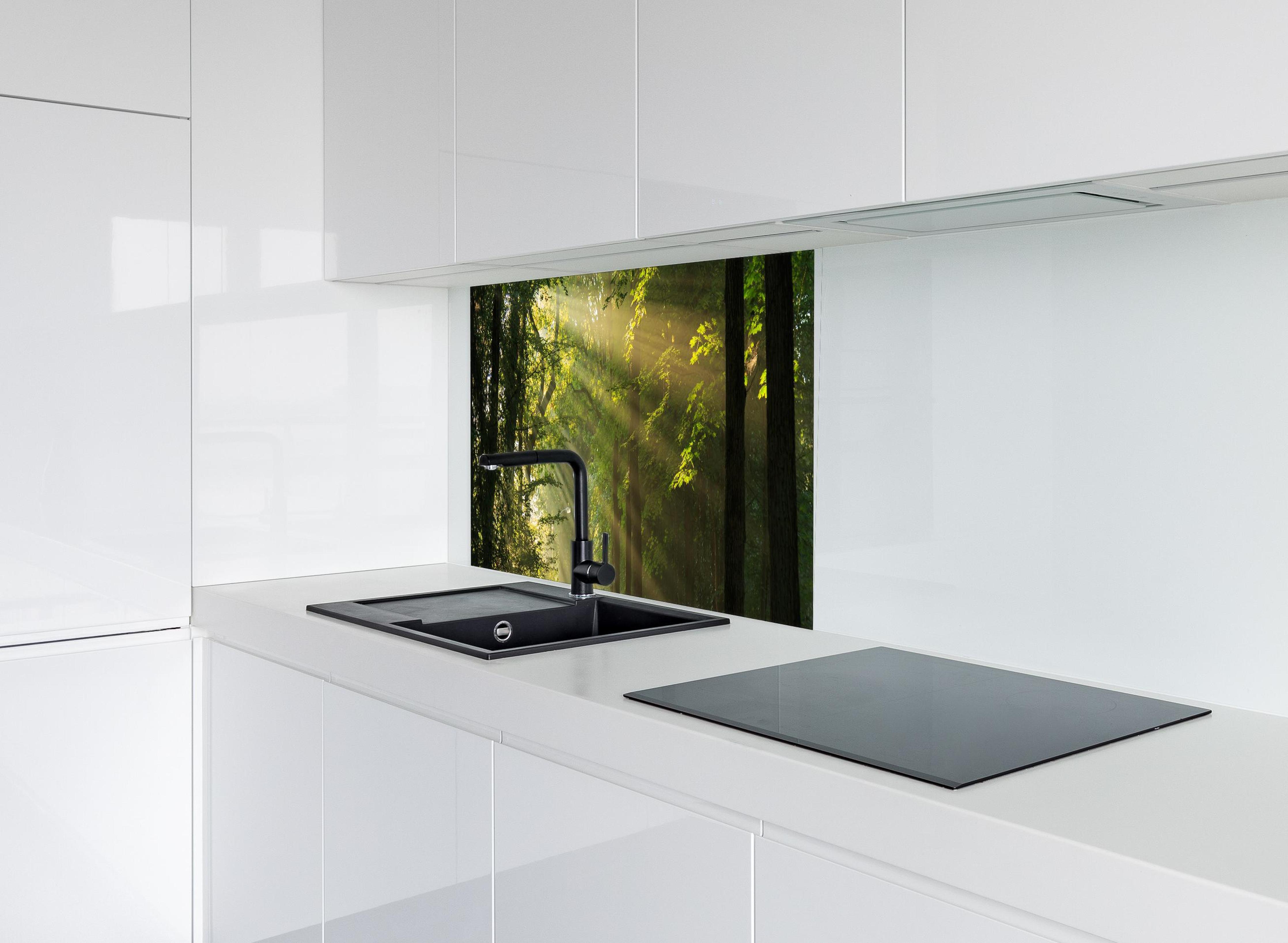 Spritzschutz - erleuchtende Sonnenstrahlen in den Wald hinter modernem schwarz-matten Spülbecken in weißer Hochglanz-Küche