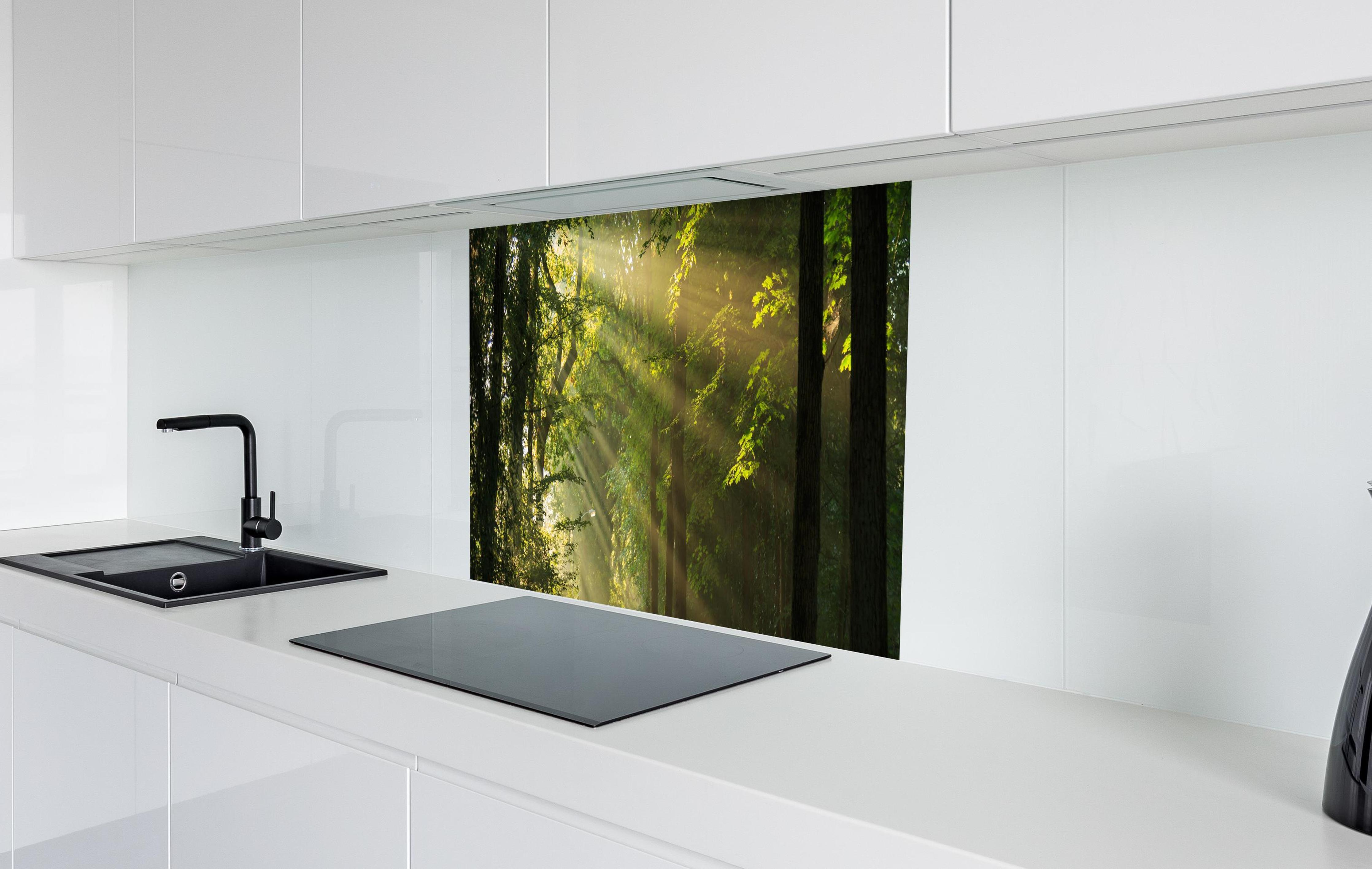 Spritzschutz - erleuchtende Sonnenstrahlen in den Wald in weißer Hochglanz-Küche hinter einem Cerankochfeld