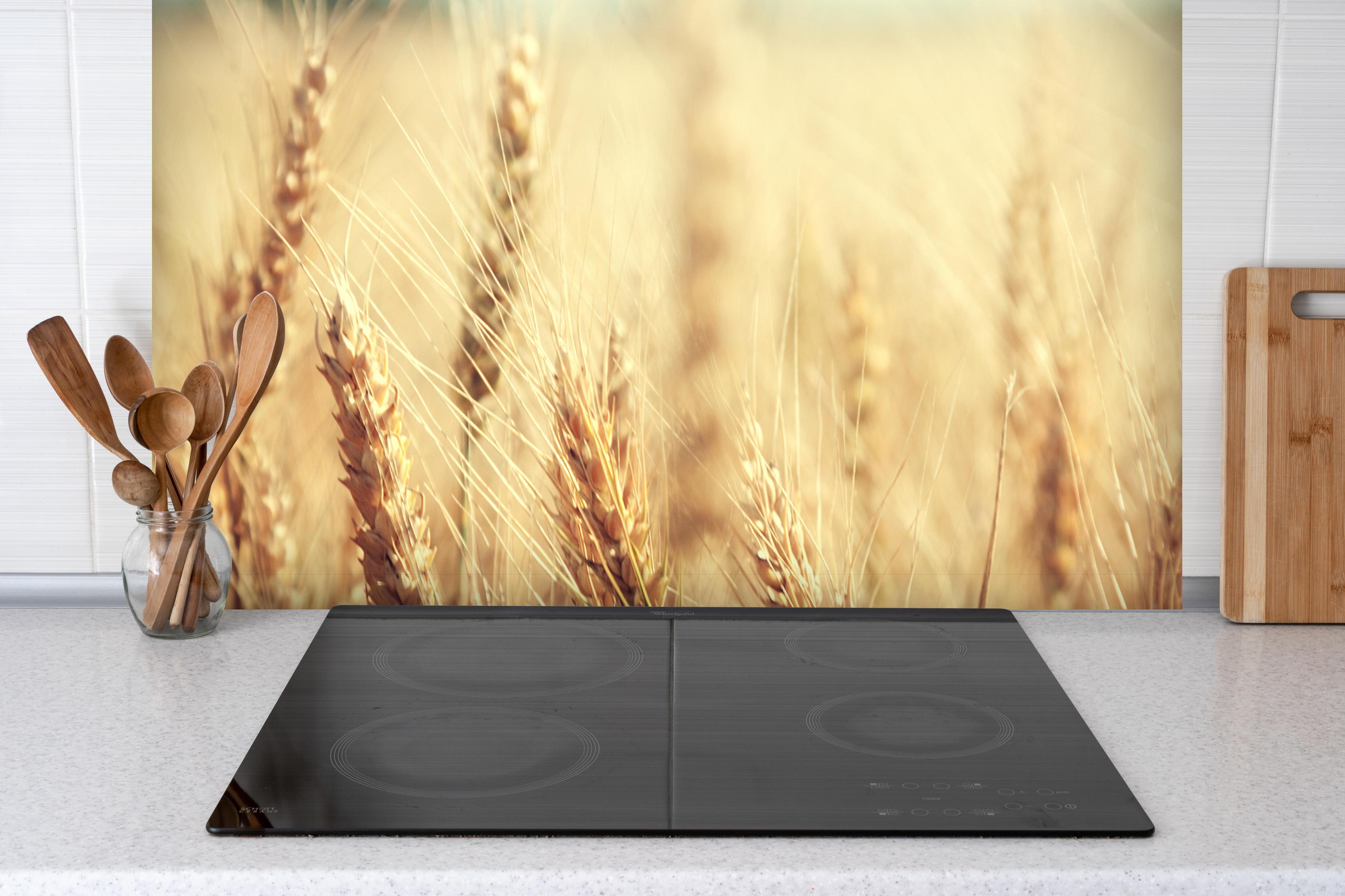 Spritzschutz - goldenes Weizenfeld in der Sonne hinter einem Cerankochfeld zwischen Holz-Kochutensilien