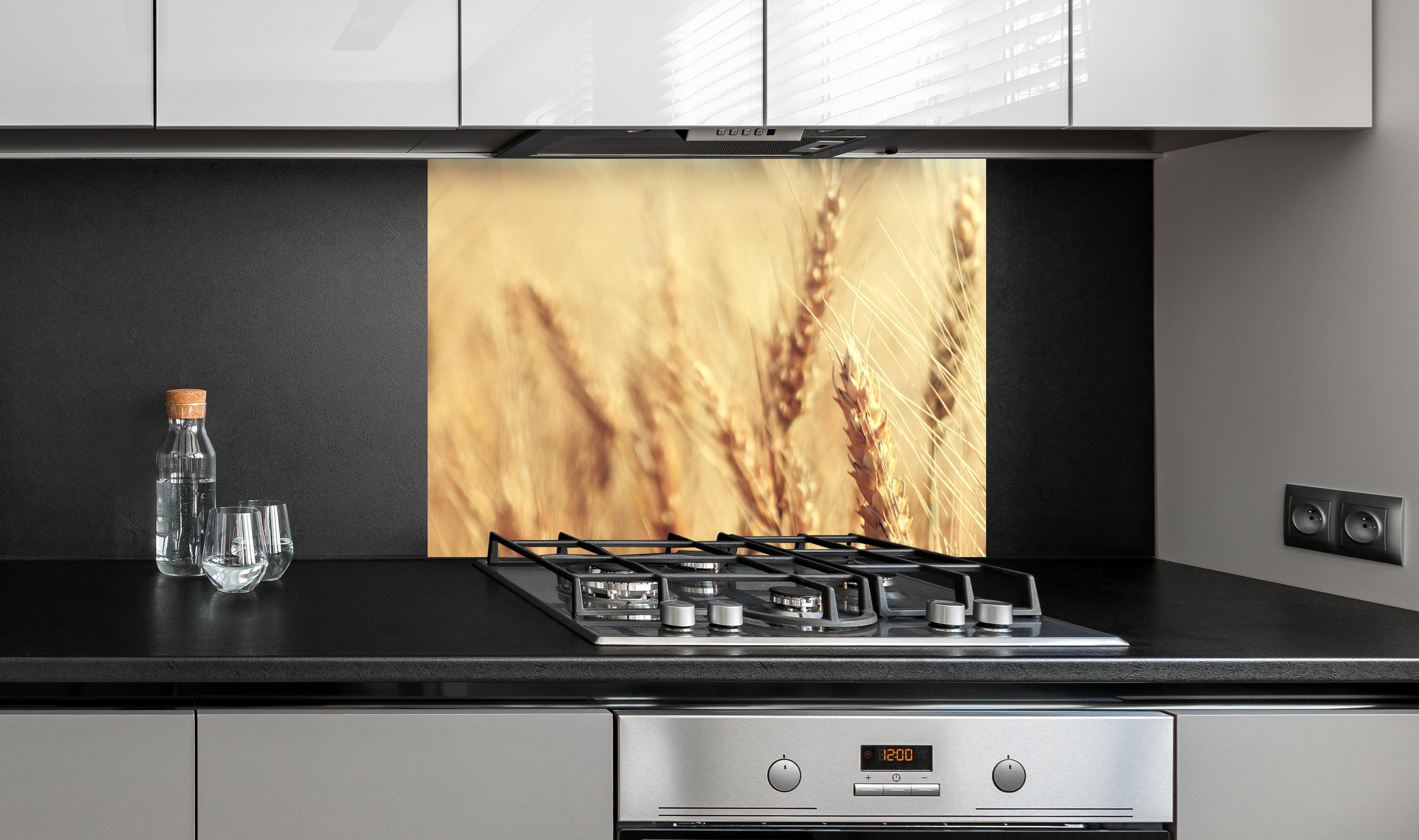 Spritzschutz - goldenes Weizenfeld in der Sonne an edler Anthrazit-Wand hinter silbernem Gasherd