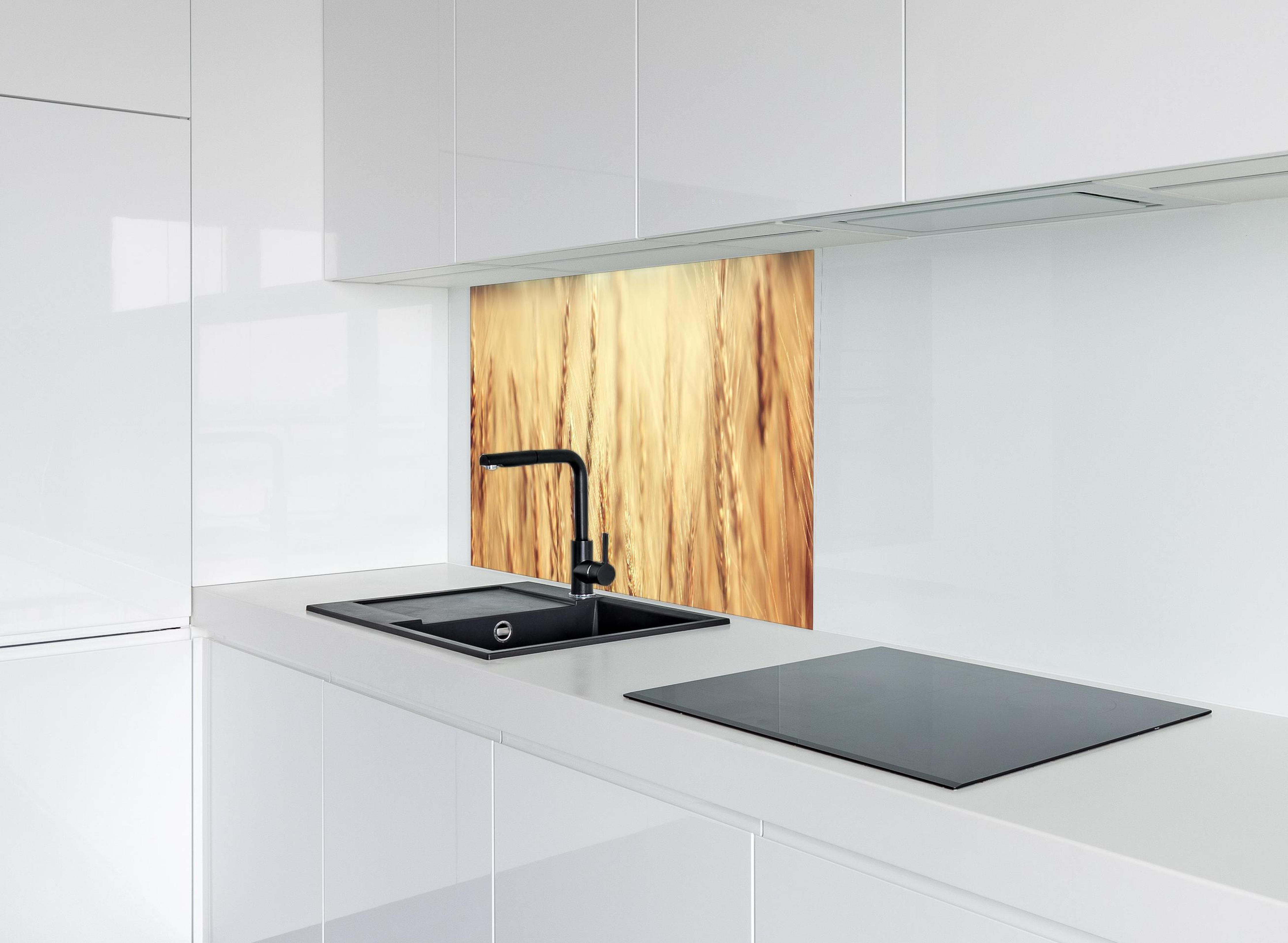 Spritzschutz - goldenes Weizenfeld in der Sonne hinter modernem schwarz-matten Spülbecken in weißer Hochglanz-Küche