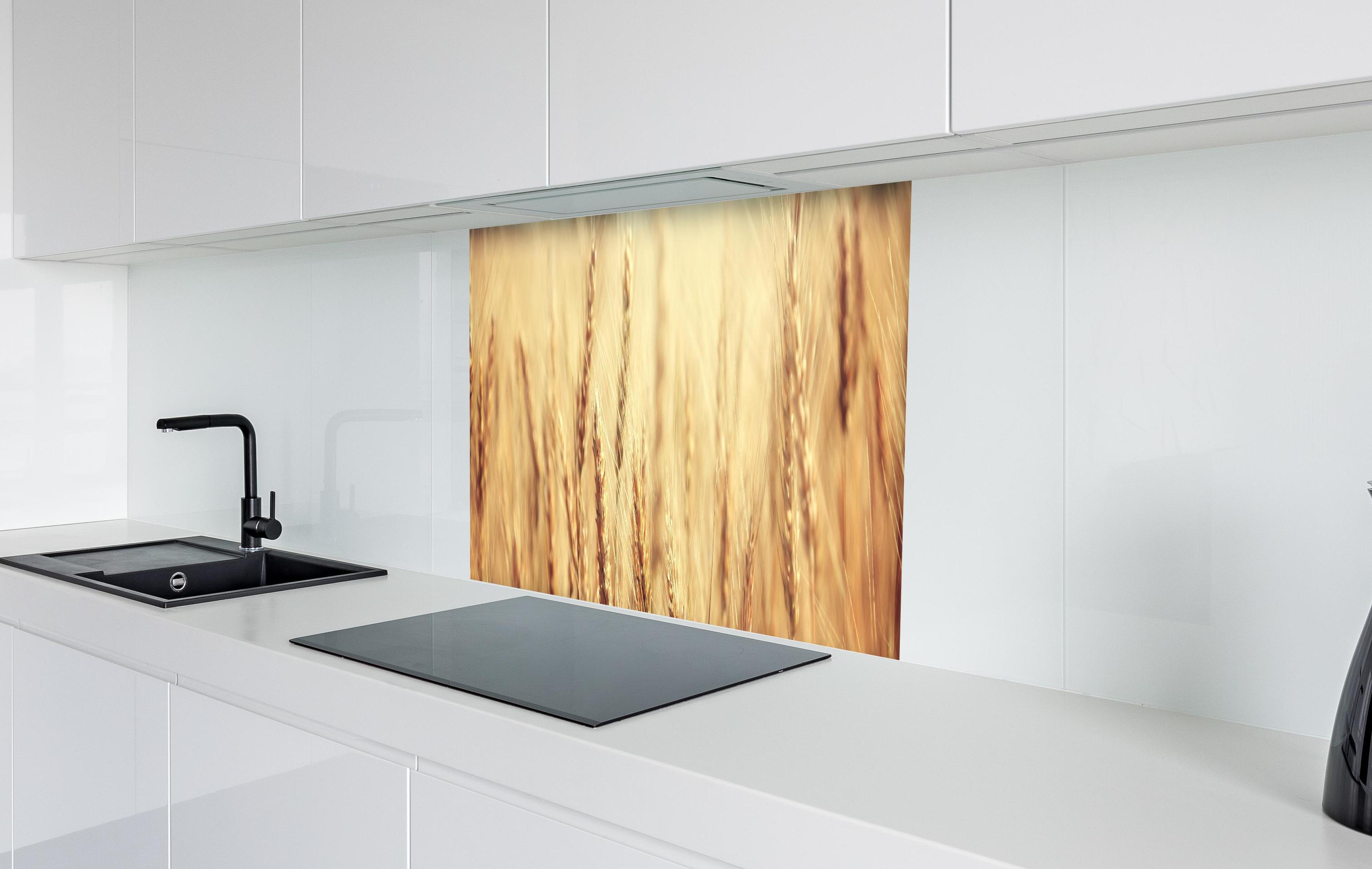Spritzschutz - goldenes Weizenfeld in der Sonne in weißer Hochglanz-Küche hinter einem Cerankochfeld